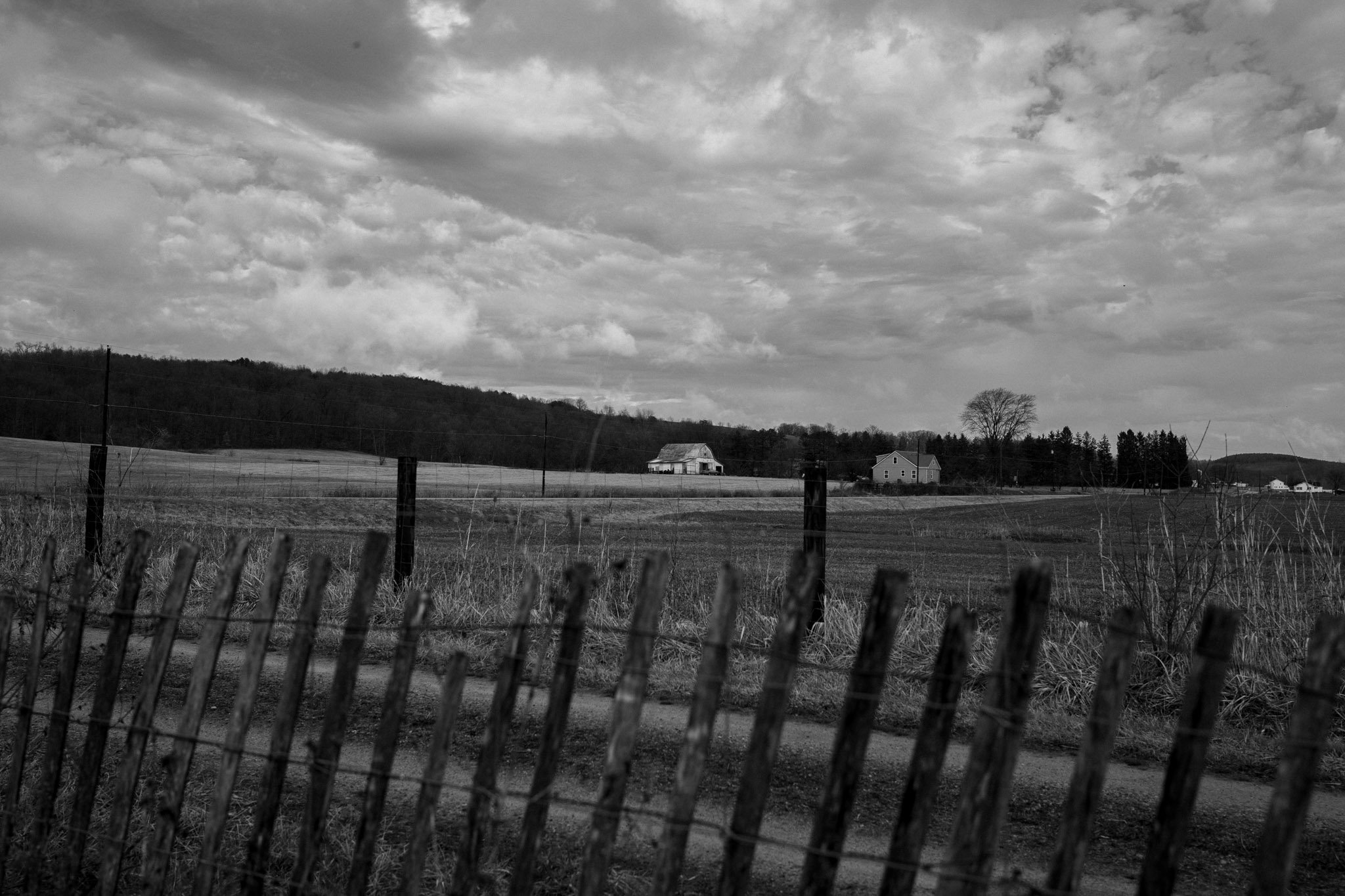 HOME-025.jpg