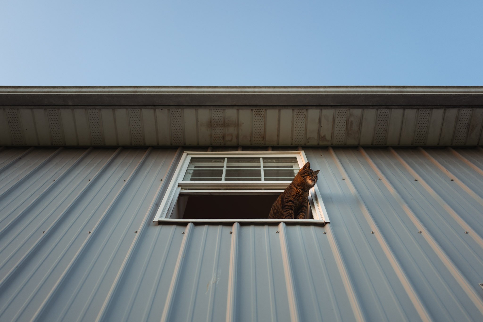 HOME-031.jpg