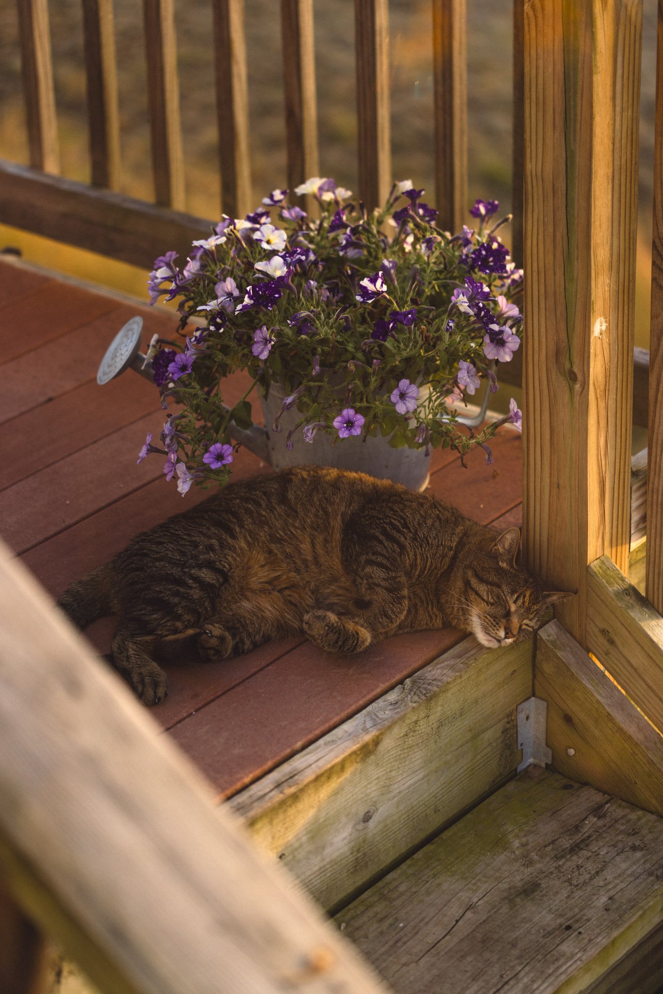 HOME-068.jpg