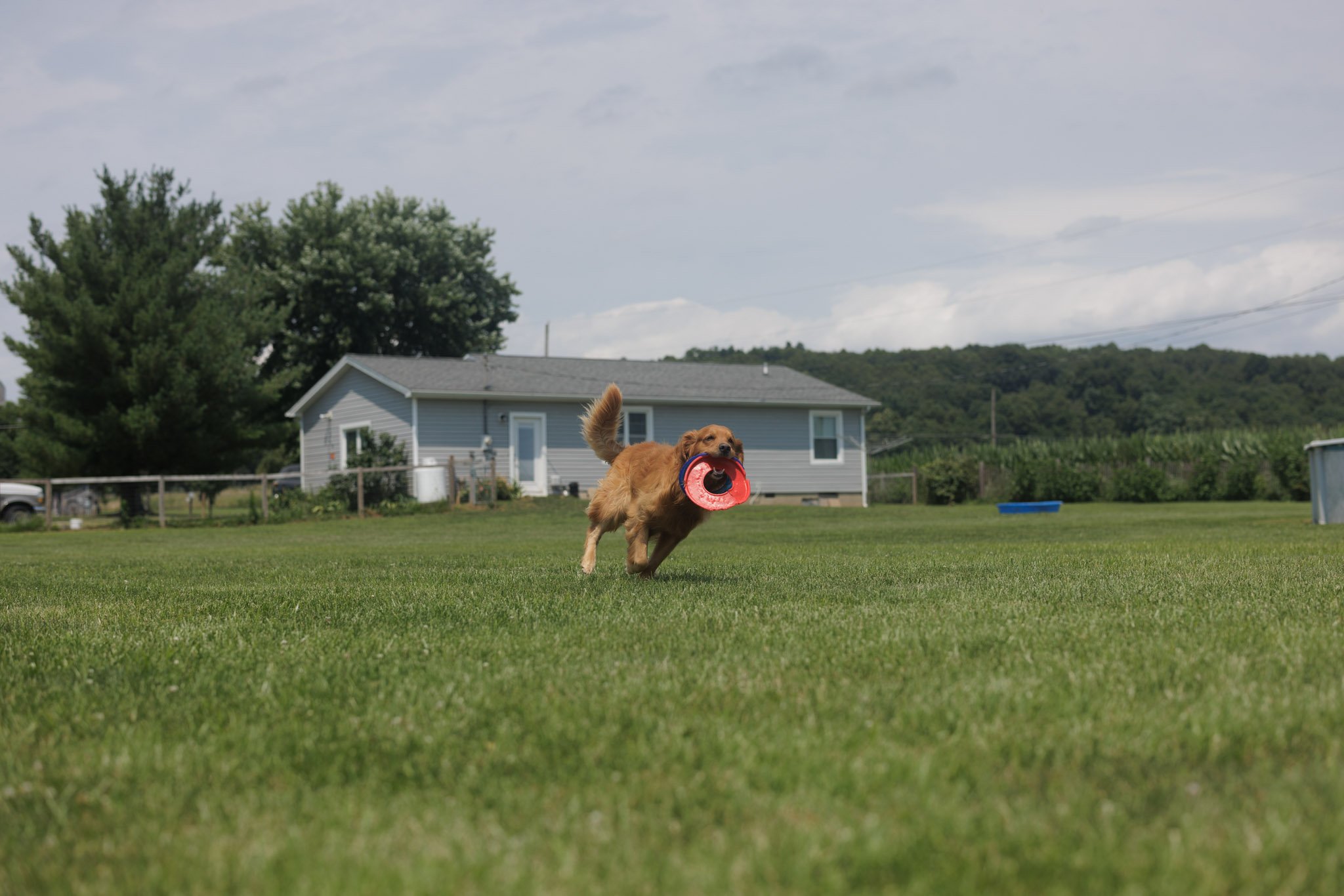 HOME-073.jpg