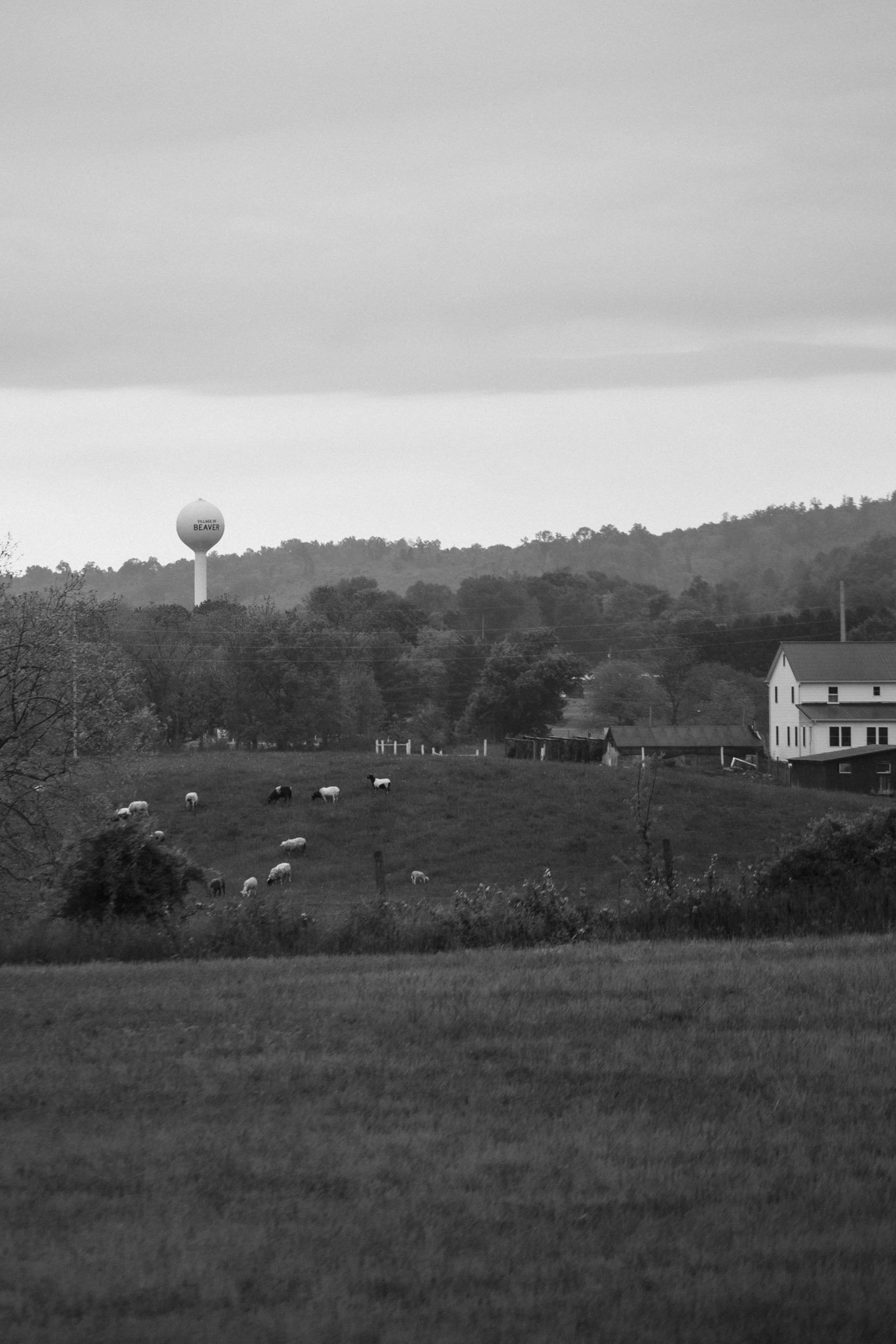 HOME-107.jpg