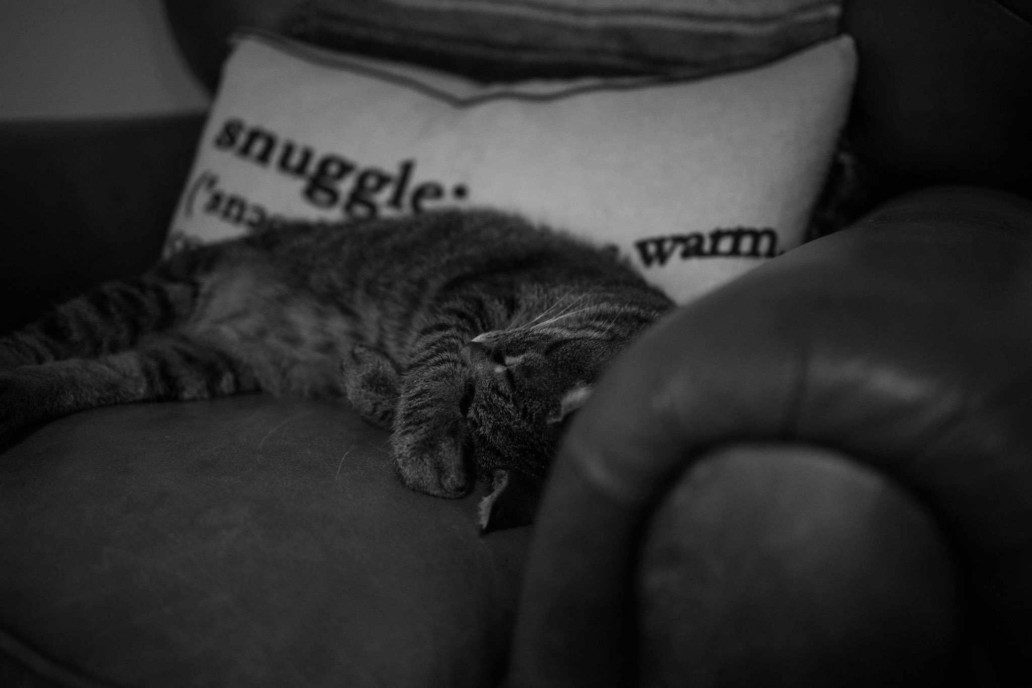 HOME-019.jpg