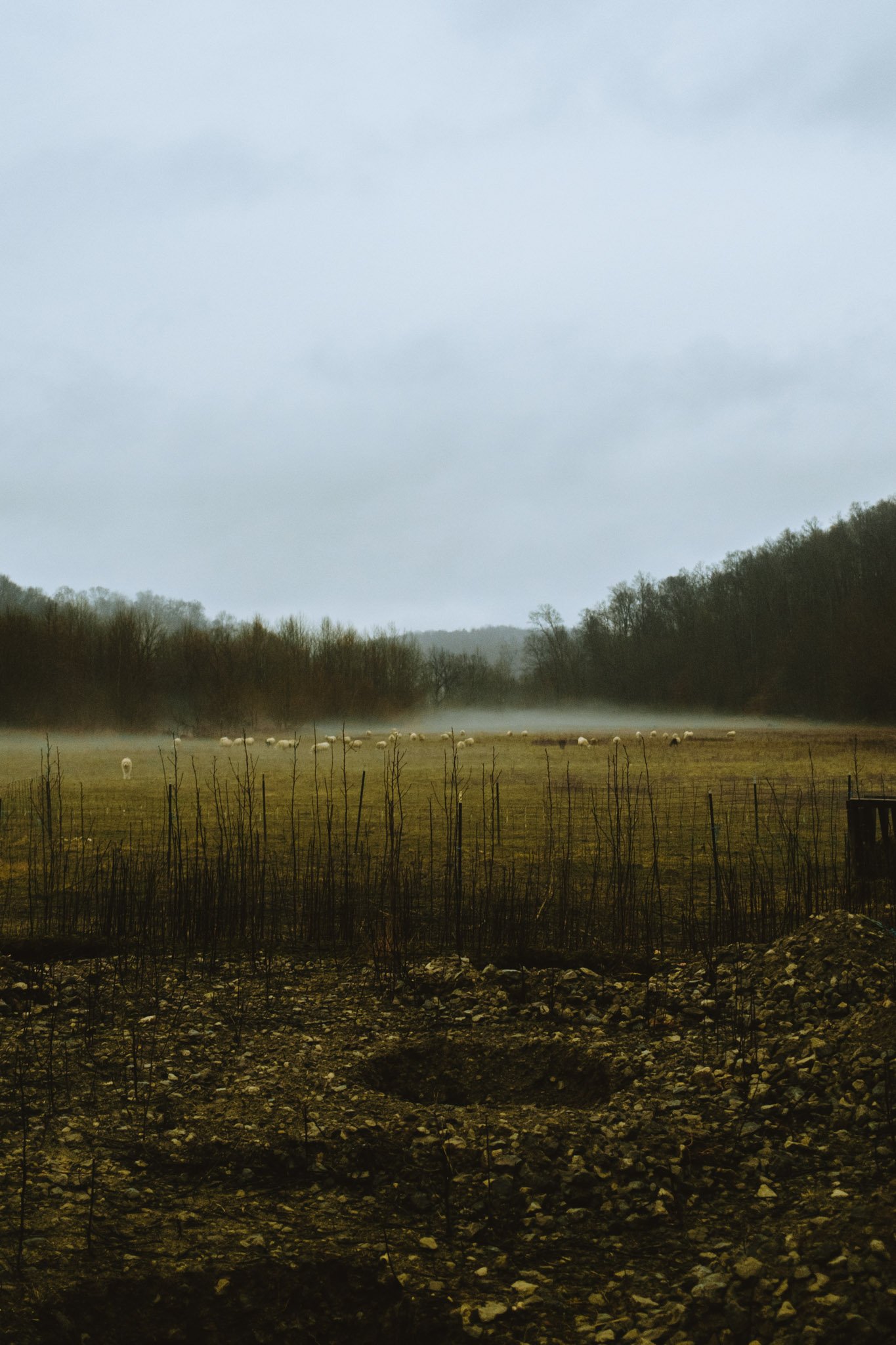 HOME-123.jpg