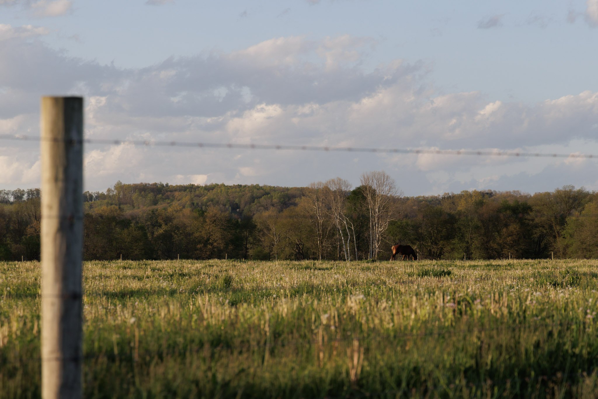 HOME-060.jpg
