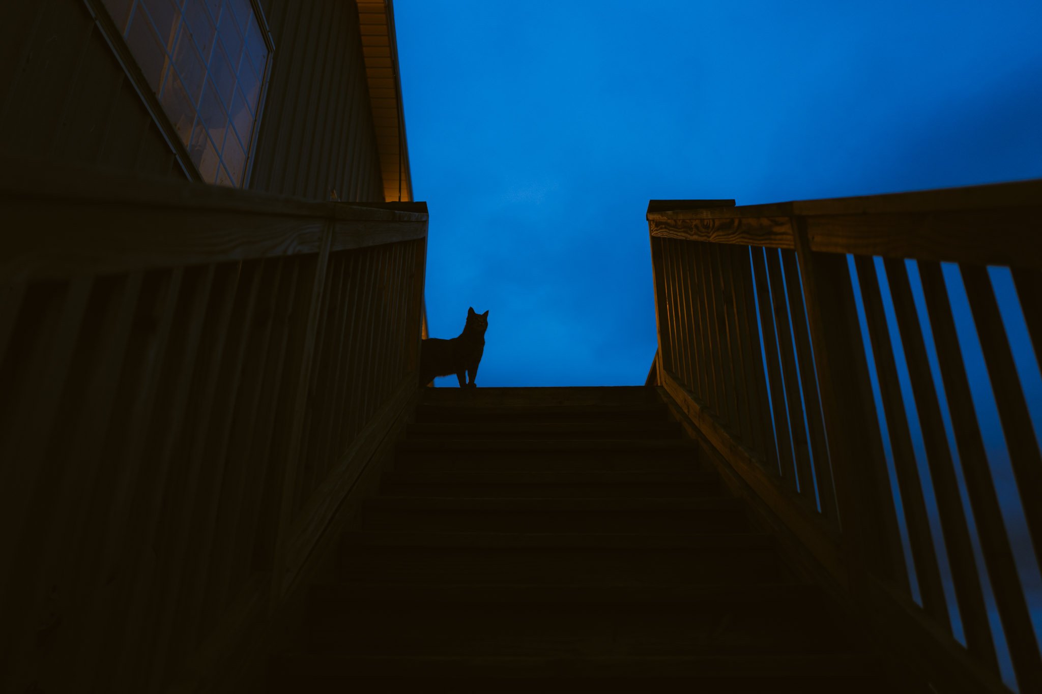 HOME-030.jpg