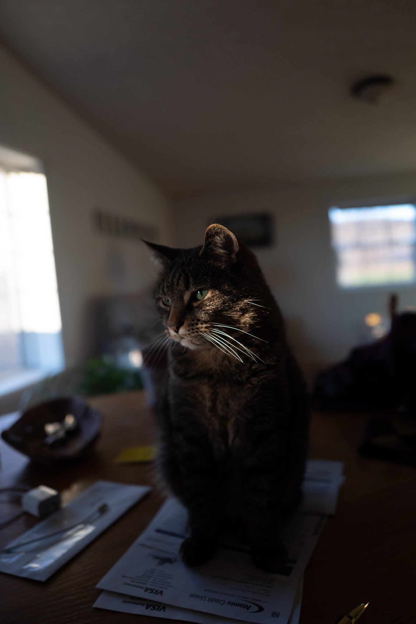HOME-057.jpg