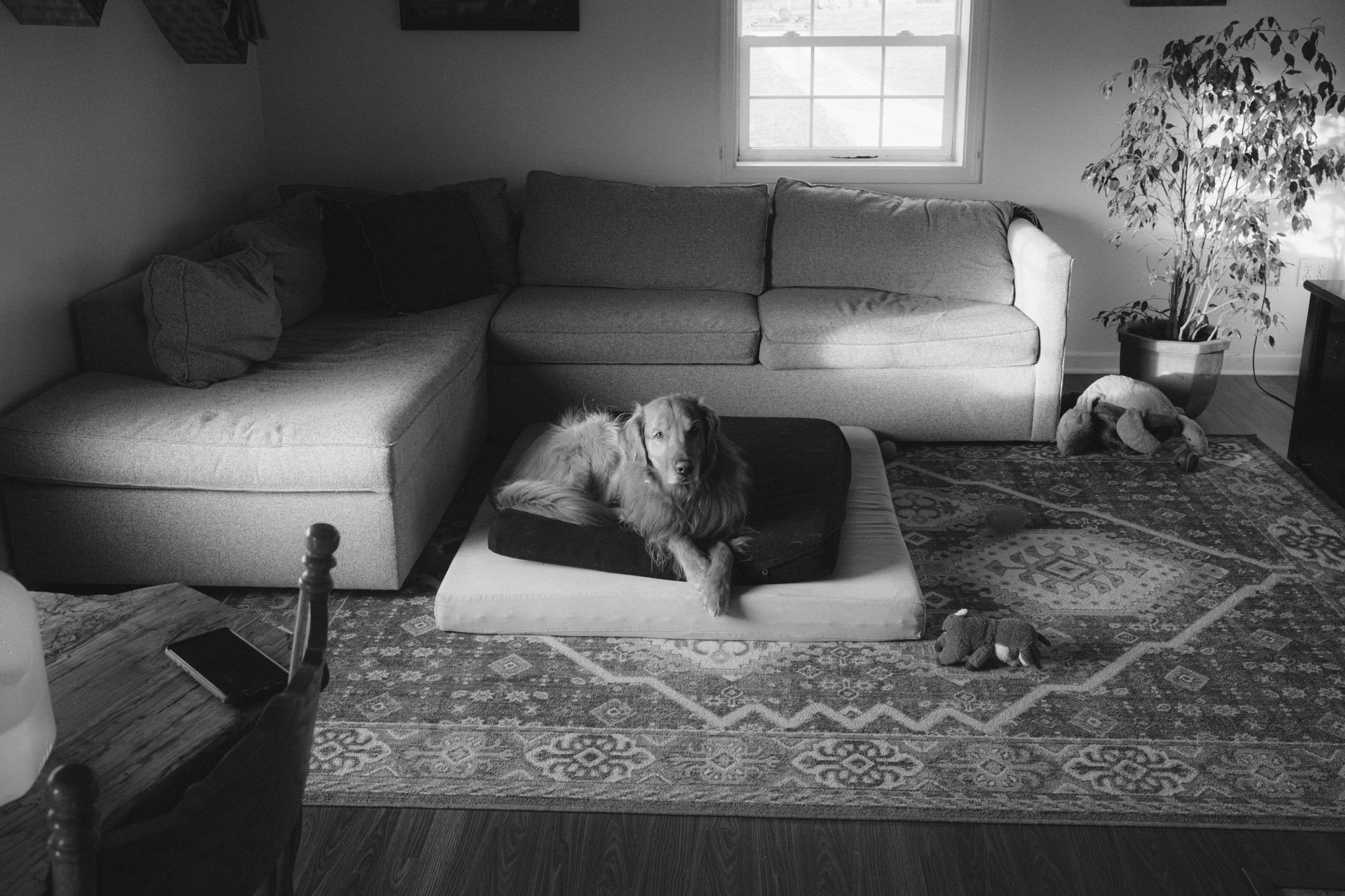 HOME-118.jpg