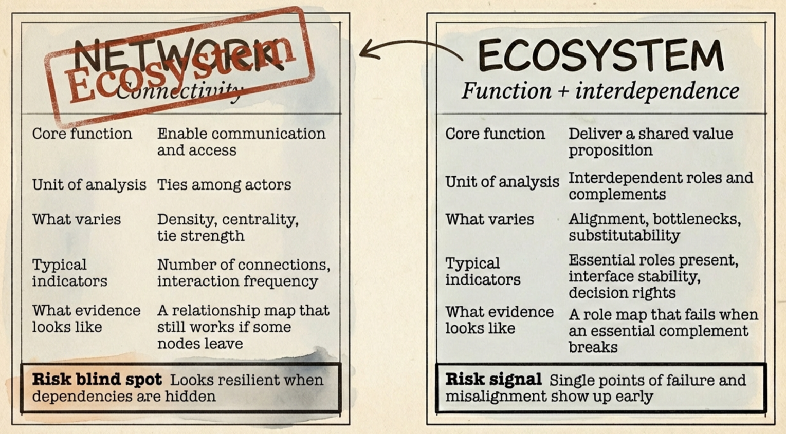 Networks & Ecosystems