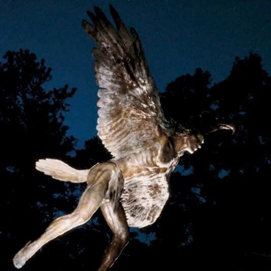 Eagle Dancer
