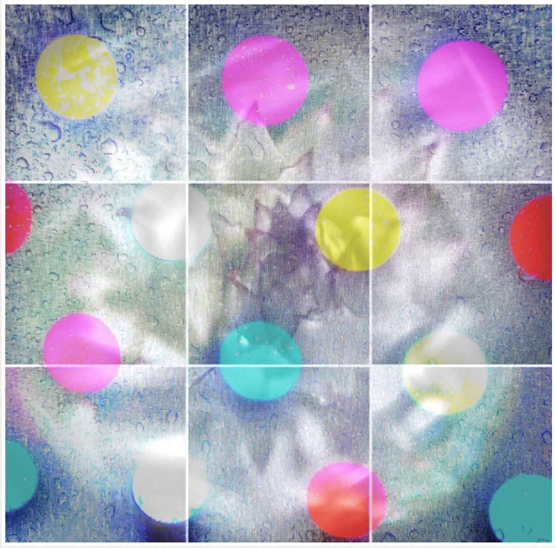 CORONA_Polka Dot Cardoon.jpg