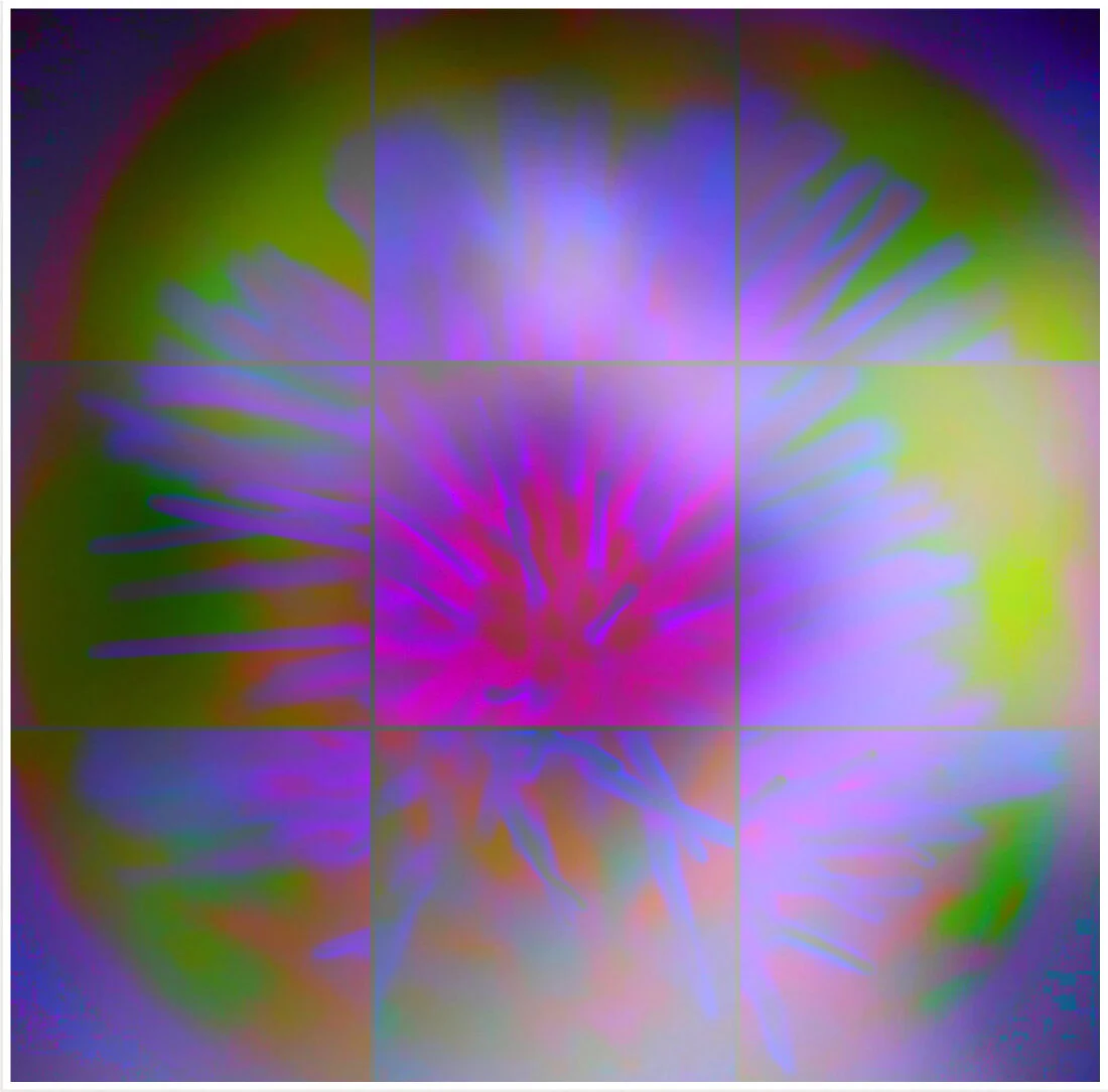 CORONA_Towards the Fuchsia Center .jpg