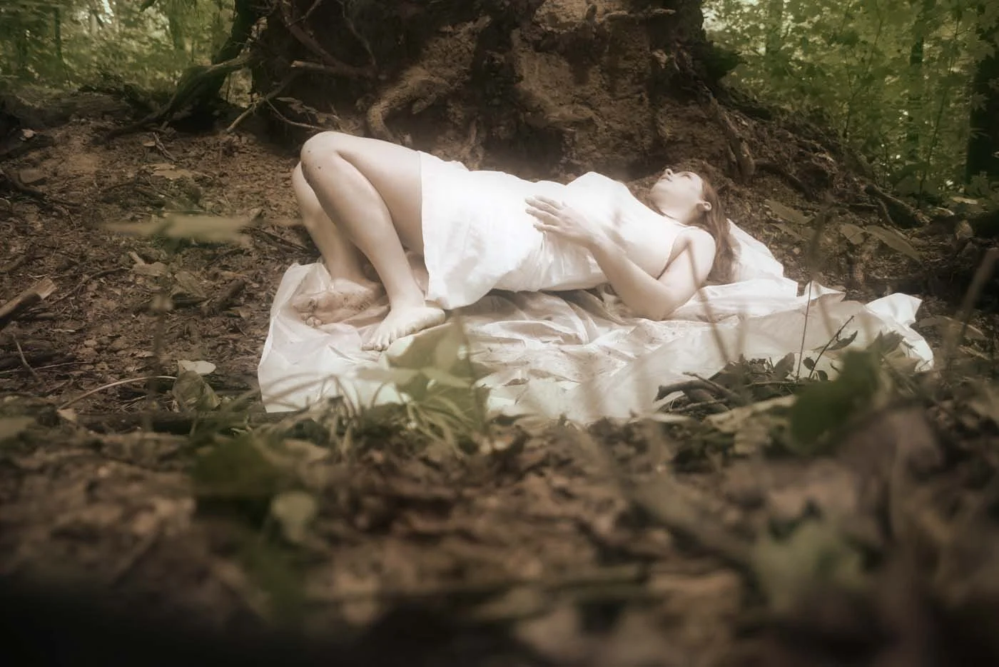 Untitled, Digital (Lambda) C-Print, 11 x 14 in, 2004