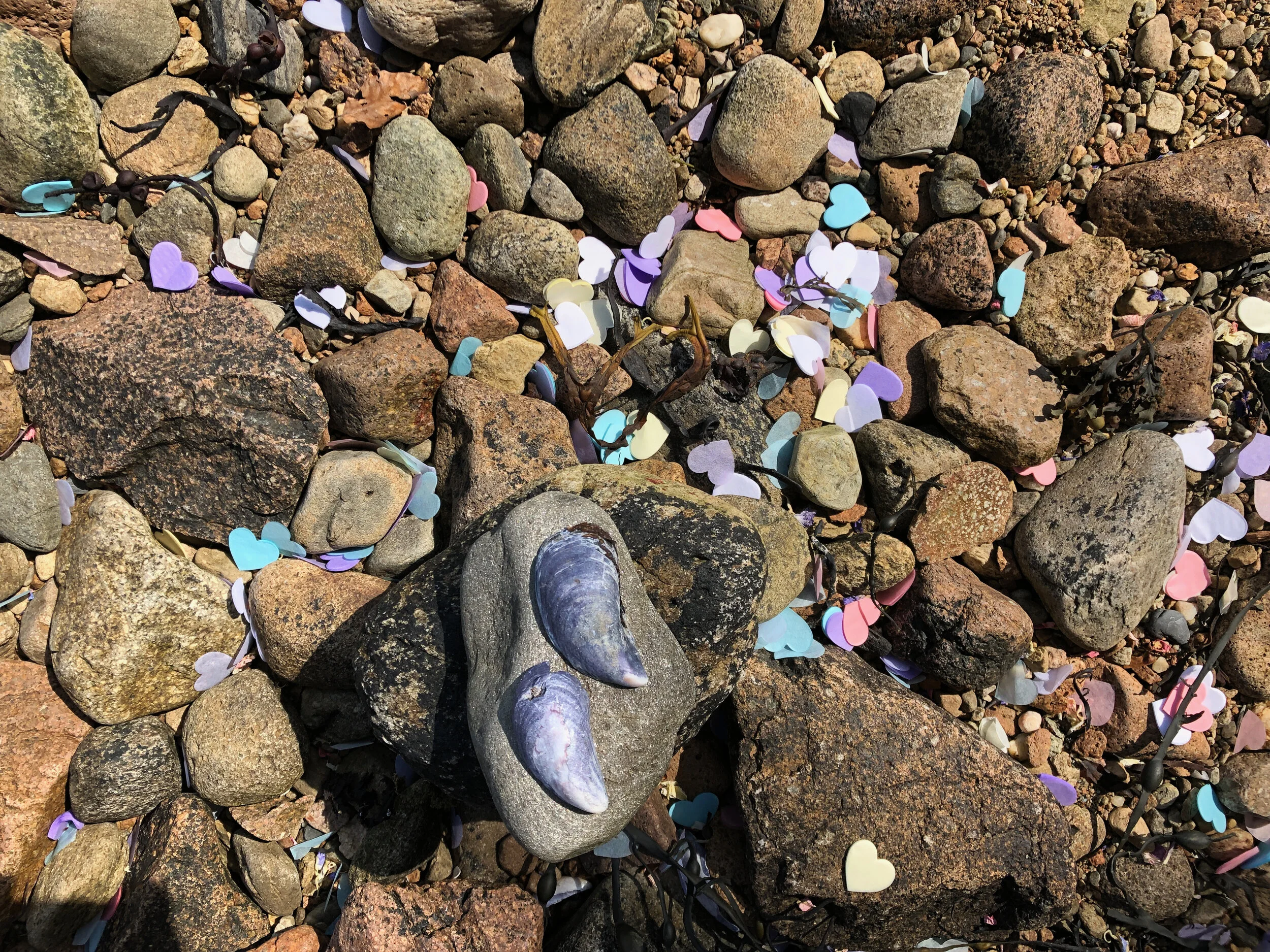 Ben & Alex Jul 21 Inverary - 11.jpeg