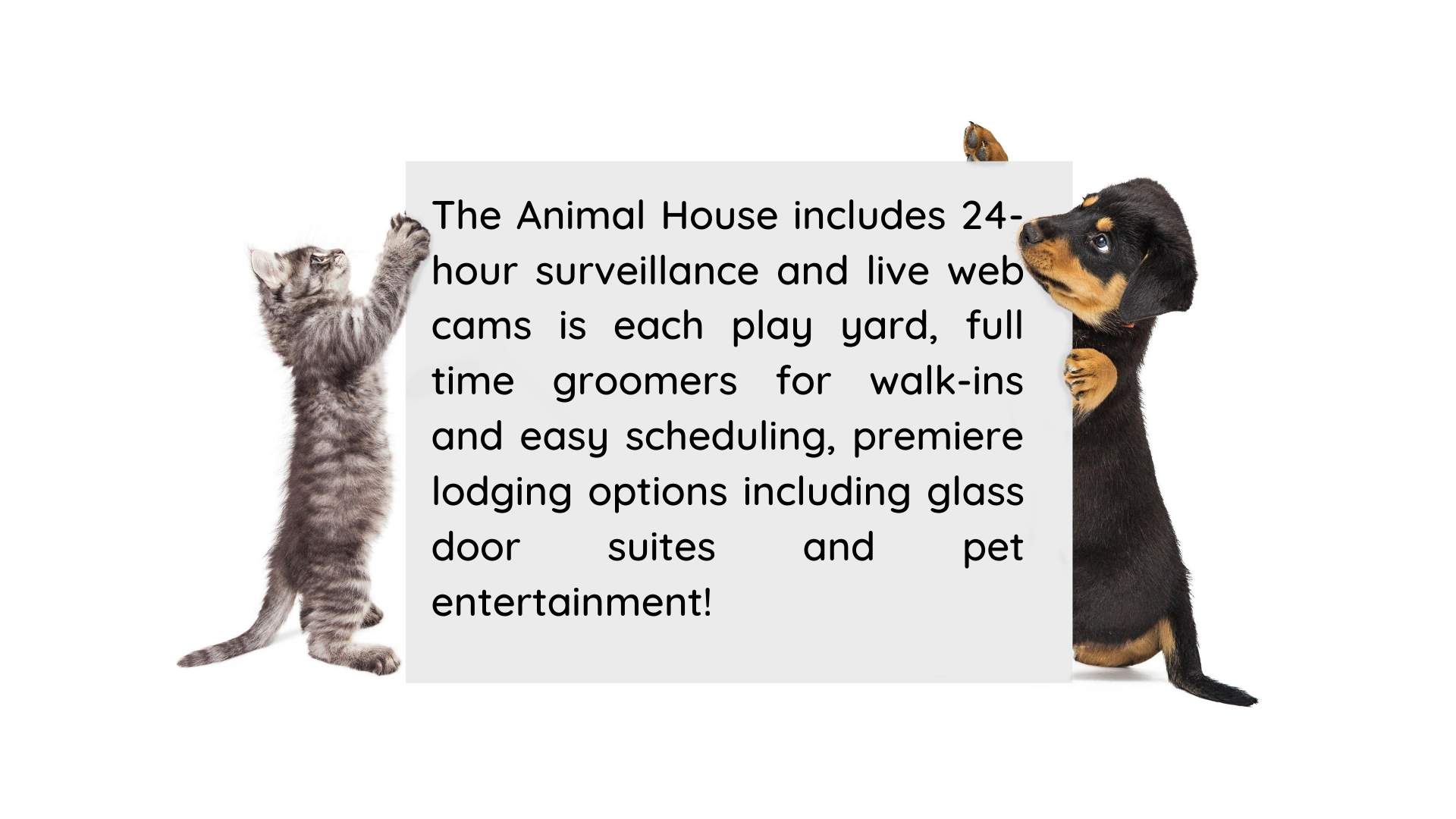 About — Animal House