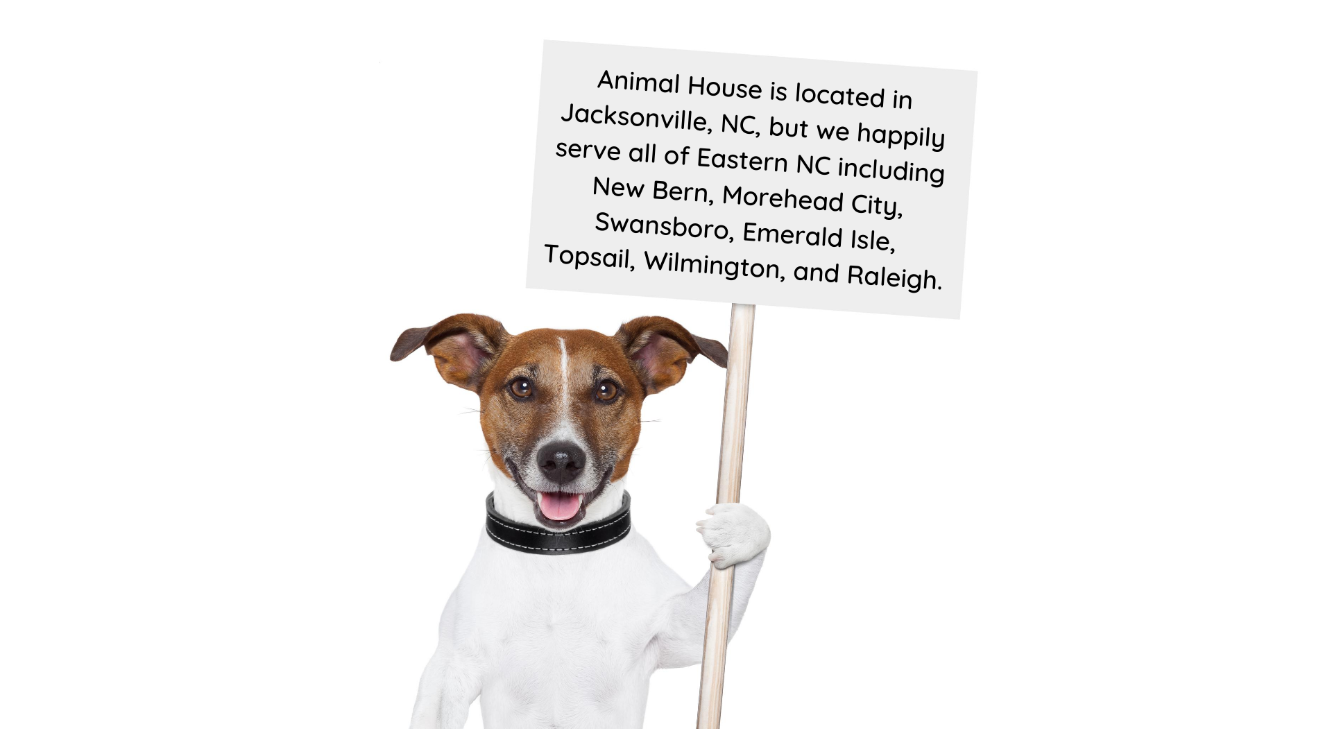 26+ Animal House Jacksonville Nc CapriCeianne