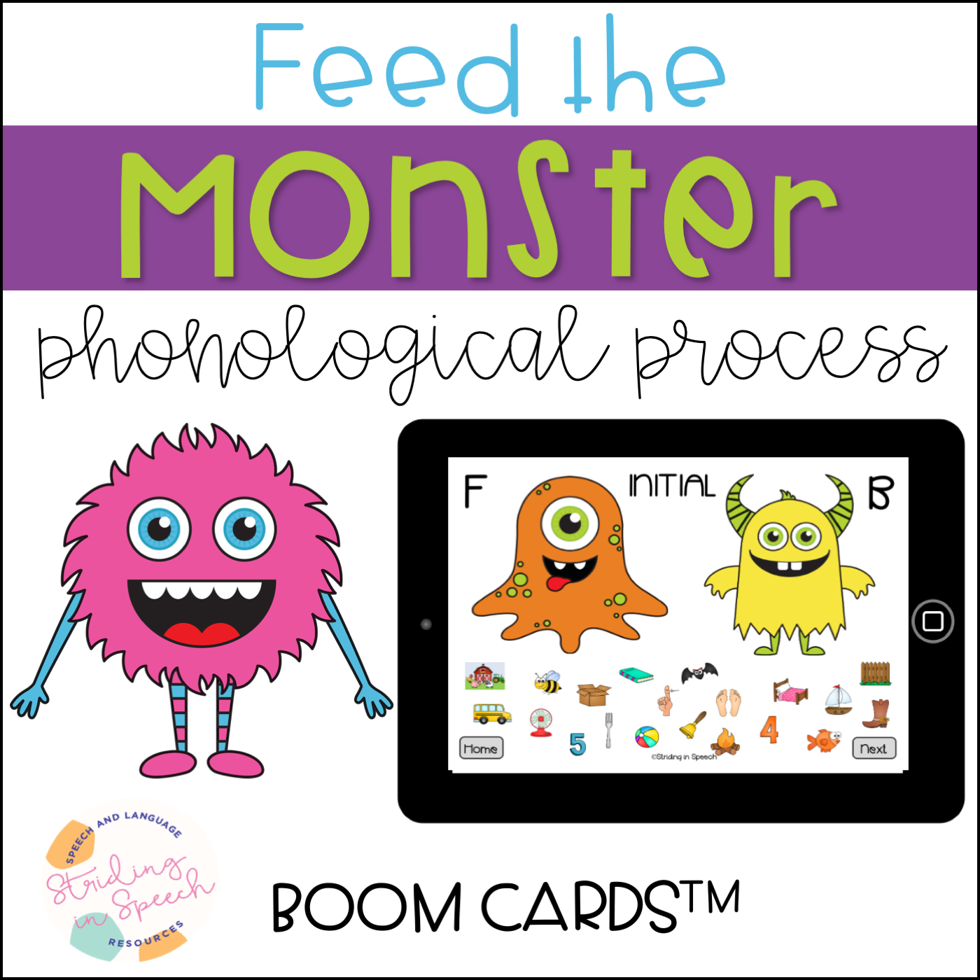 Phonological Process Sort