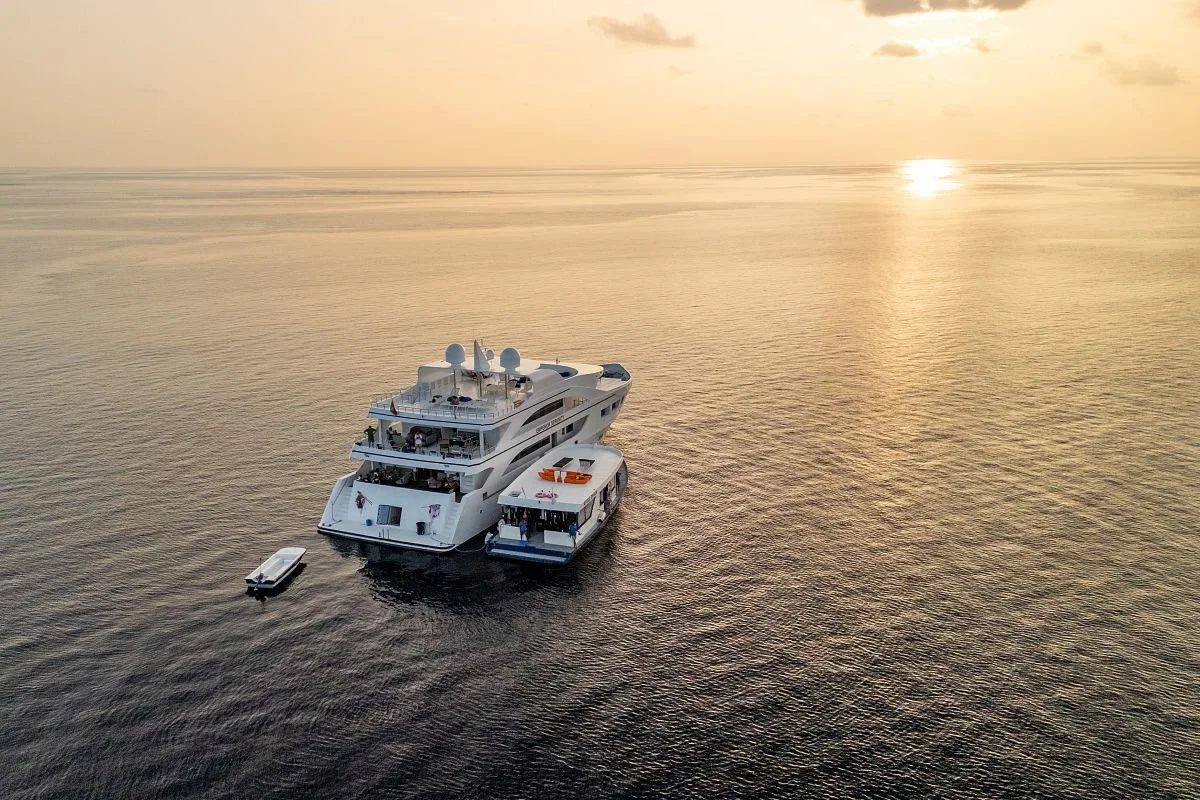 DJI_20250125081304_0807_D.jpg