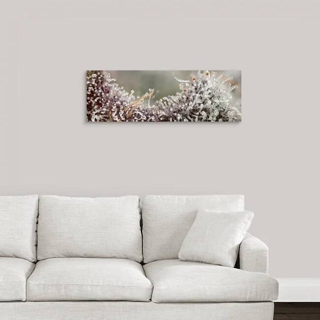 ServeArtByTemplateGroup (9).jpg