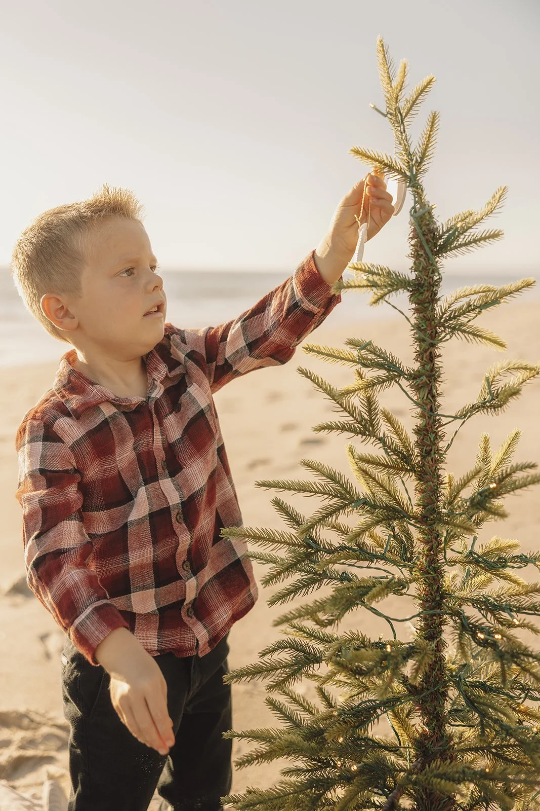 Amie C Jones Photography_15.jpg