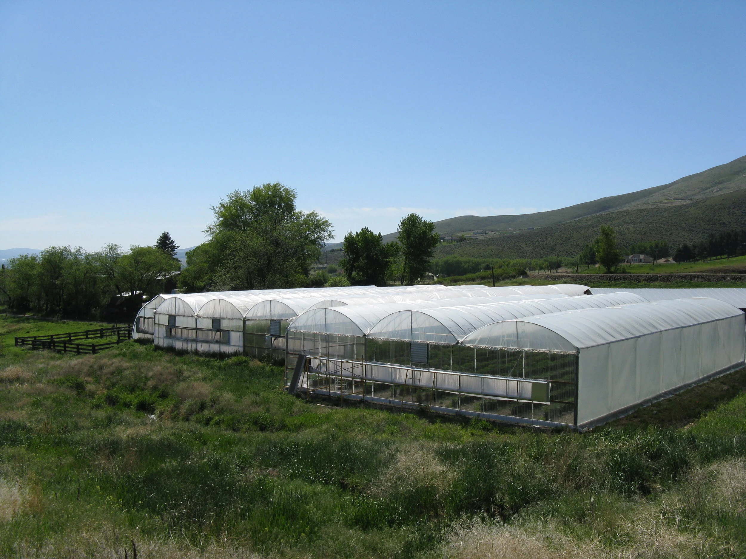 Kittitas Valley Greenhouse Washington - Greenhouse.JPG