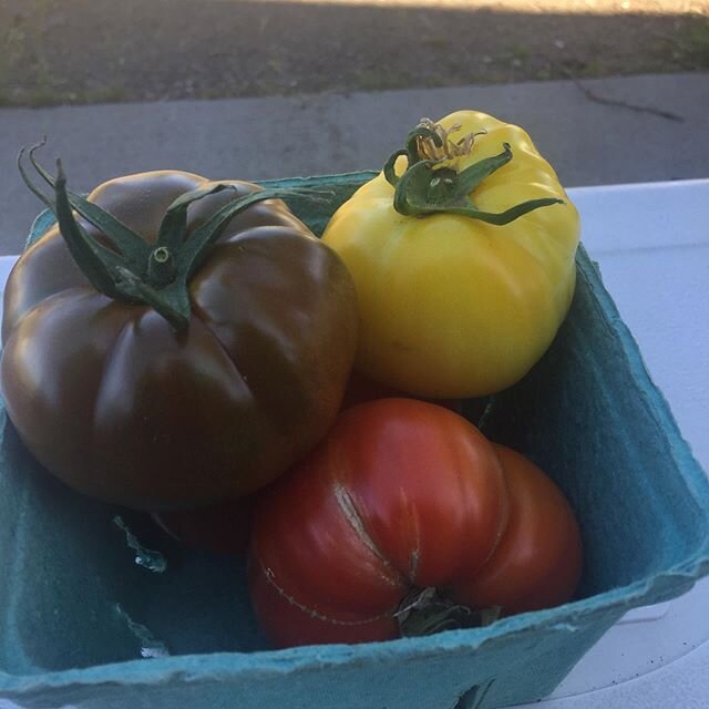 Pre-orders are coming in faster than I can update inventory. Everything is restocked and there is still time to order for the weekend. Follow the tomatolady link in our bio. #heirloomtomatoes #universitydistrictfarmersmarket #ellensburgfarmersmarket 