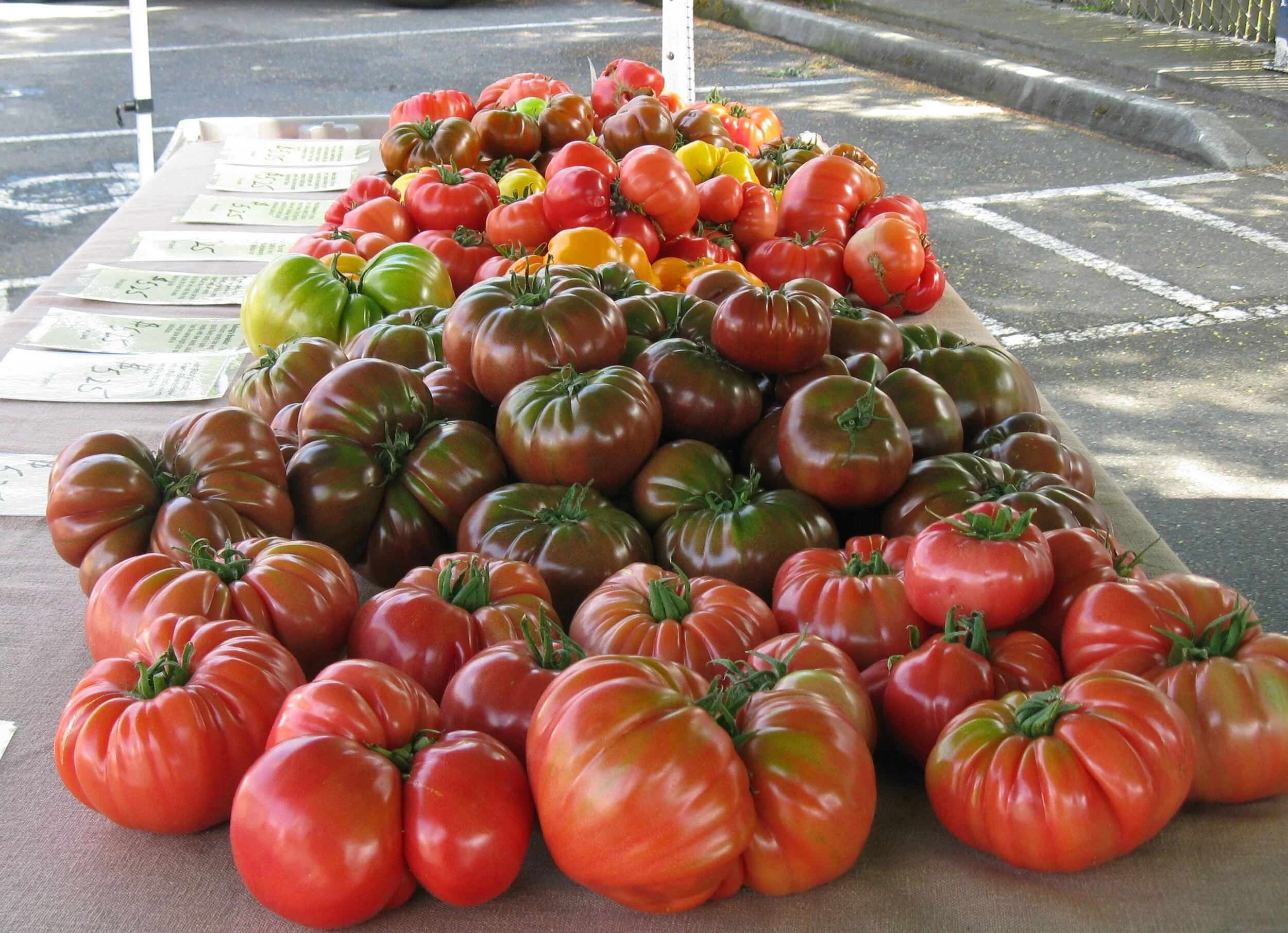 Kittitas Valley Greenhouse Washington - Banner.jpg