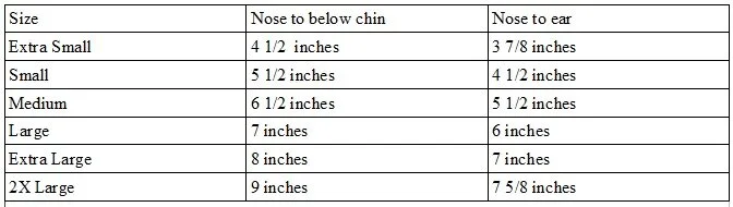 Face Mask Sizing Chart.jpg