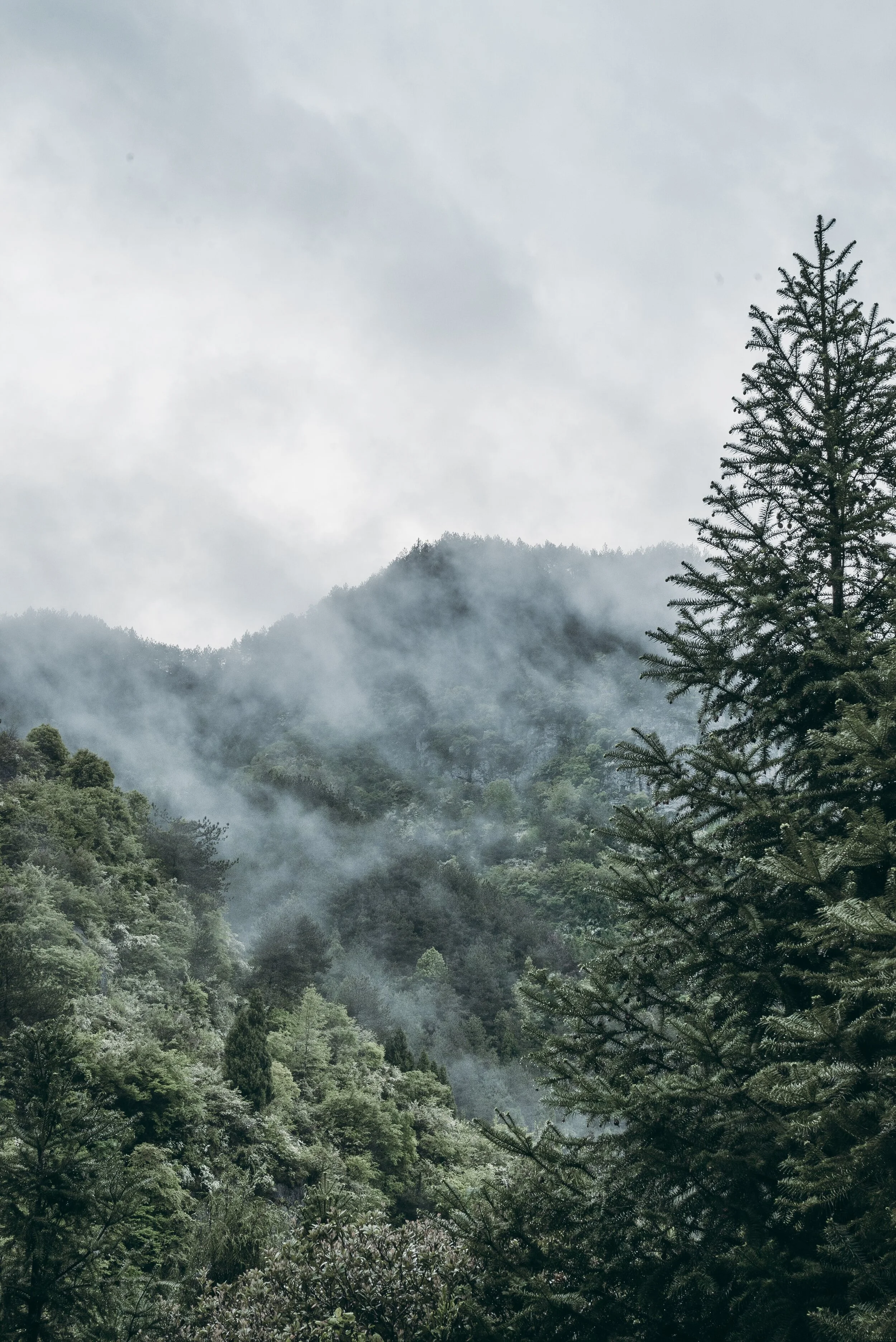 yiranding-hltXWESLAkc-unsplash.jpg