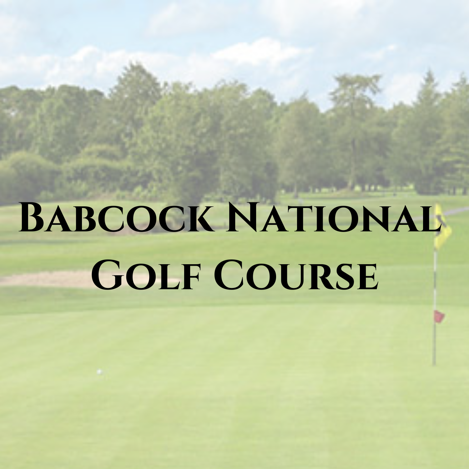 Babcock National Template 1x1 for golf course button.png