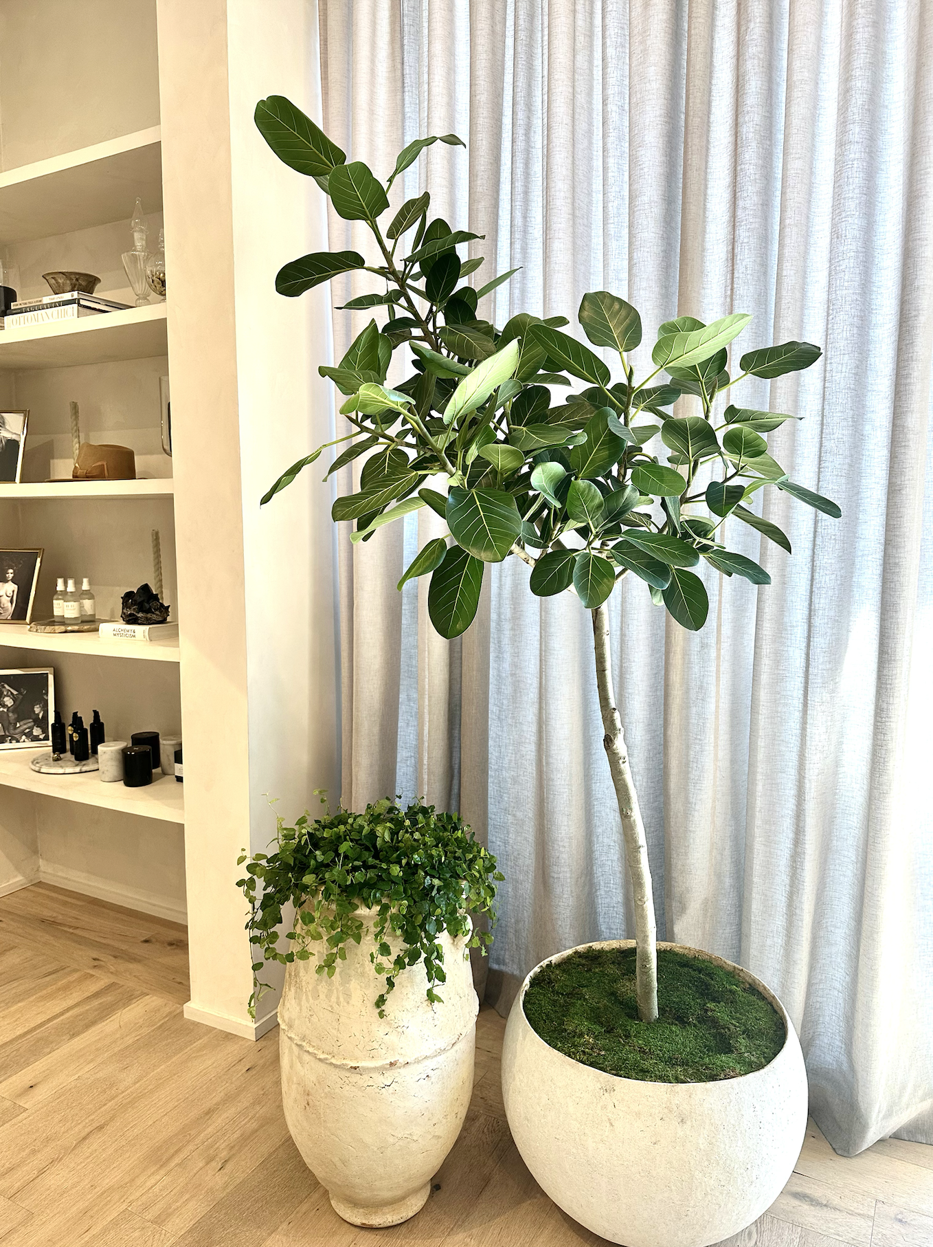 Screenshot 2023-08-10 at 4.34.37 PM.png