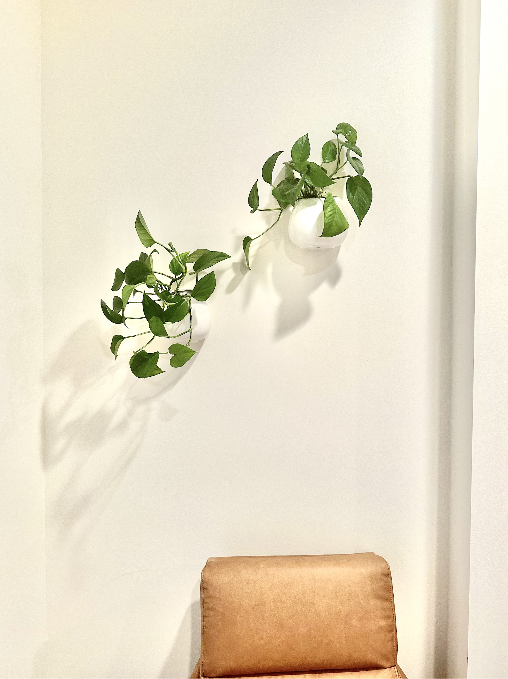 Screenshot 2024-01-10 at 8.18.59 AM.png