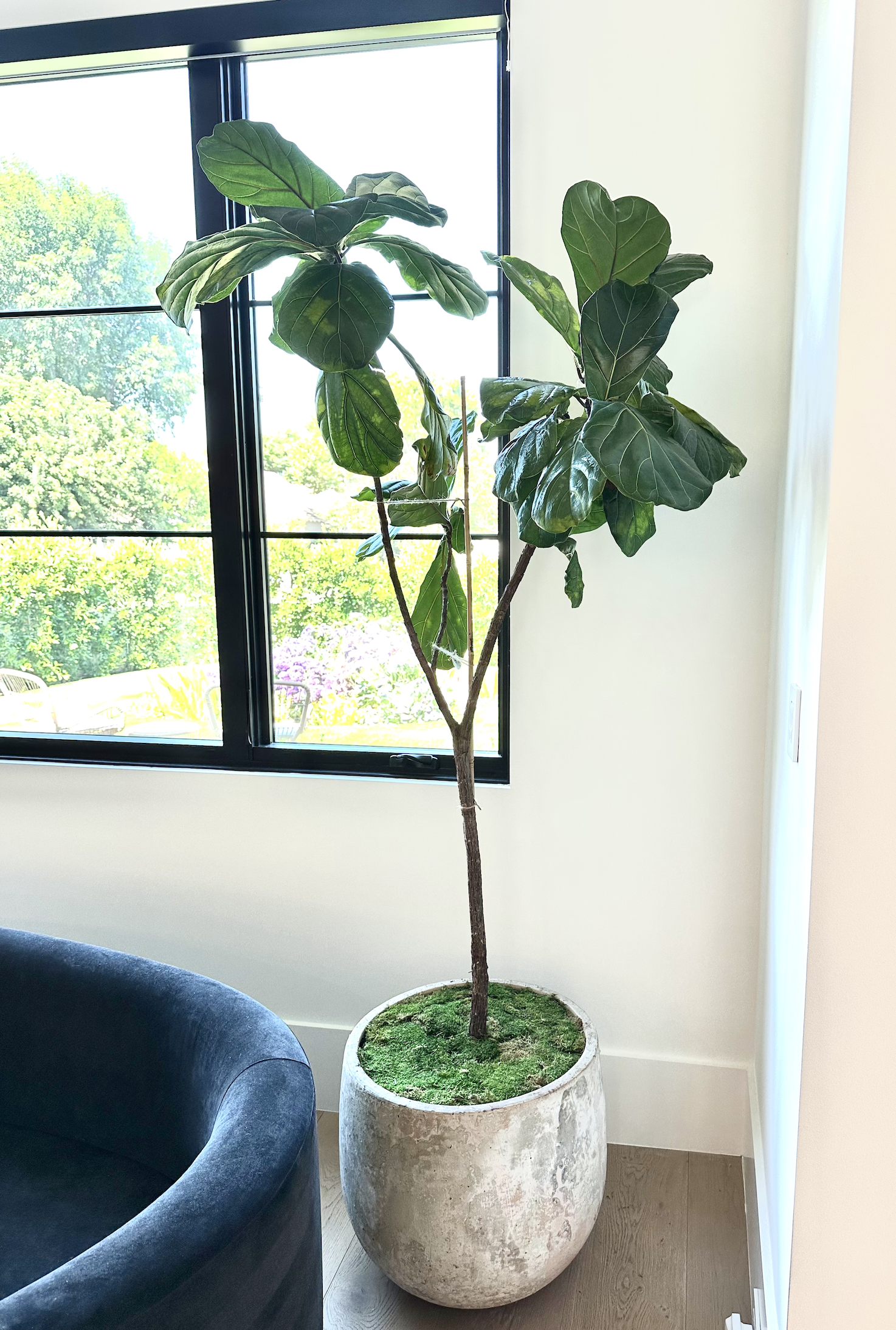 Screenshot 2024-01-10 at 8.19.41 AM.png