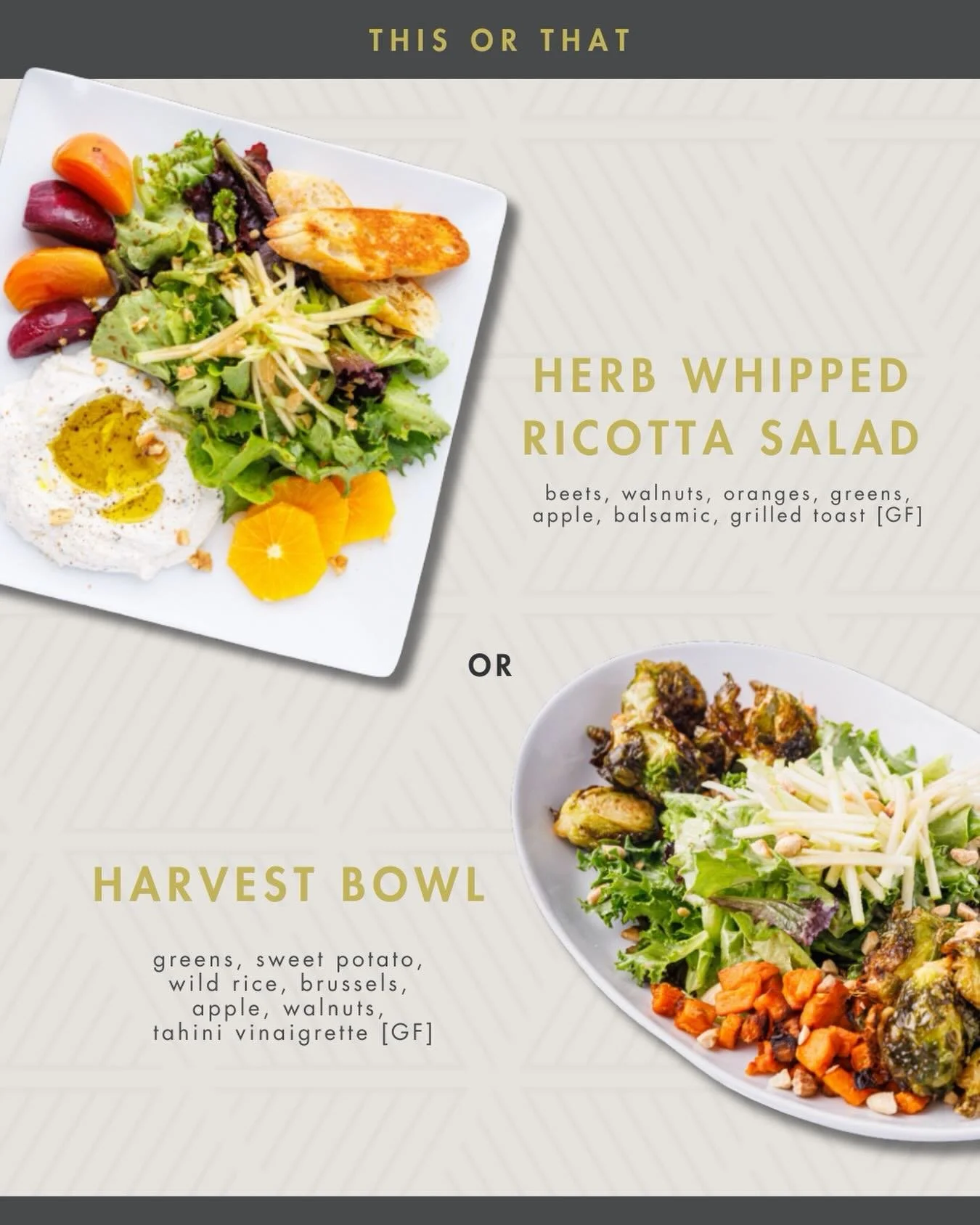 Herb Whipped Ricotta Salad 🥗 vs. Harvest Bowl 🍠 &mdash; which one are you picking today? Both [GF] &amp; full of flavor!