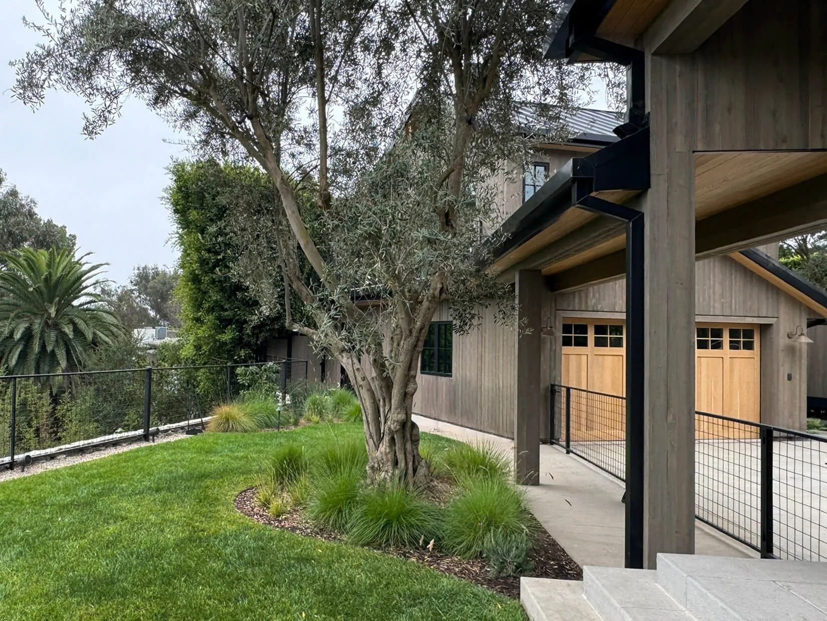 5 Backyard.jpg