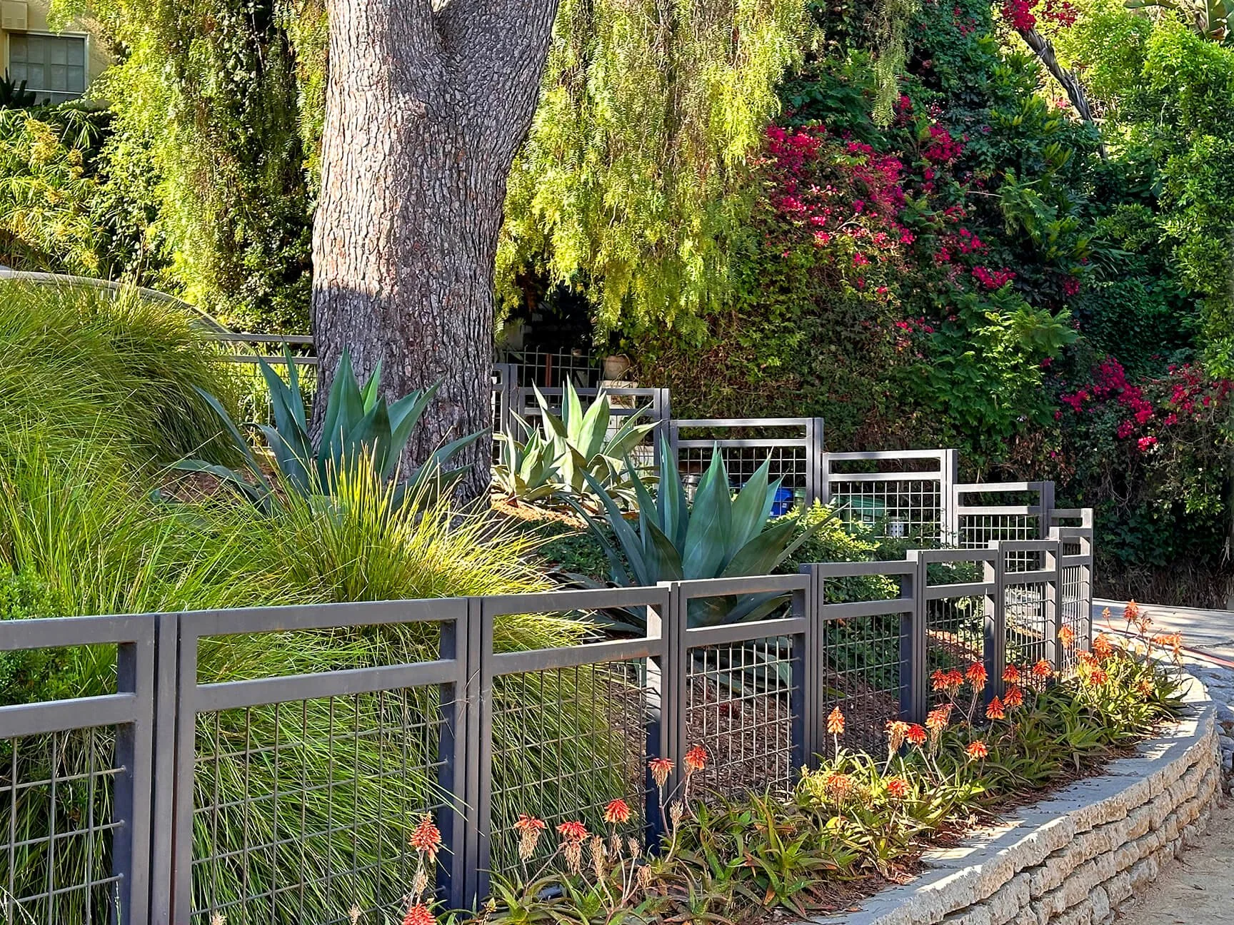 2 Front yard.jpg