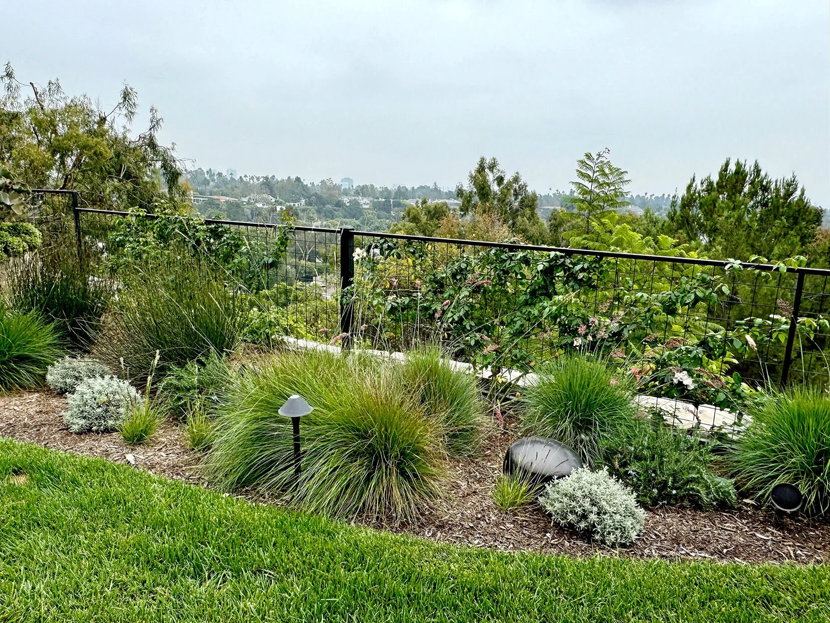 3 Back fence.jpg