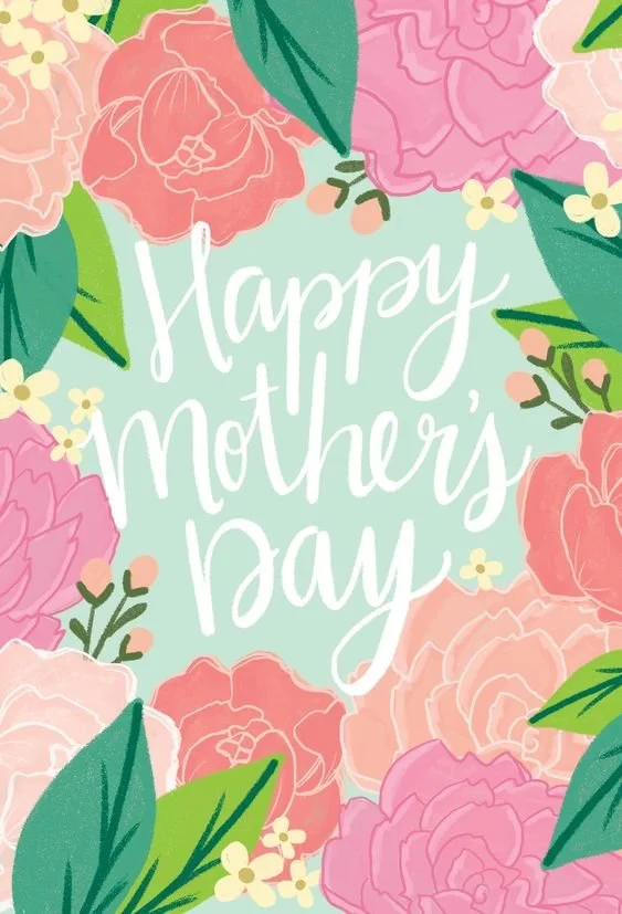 Designer's Choice | Most Popular