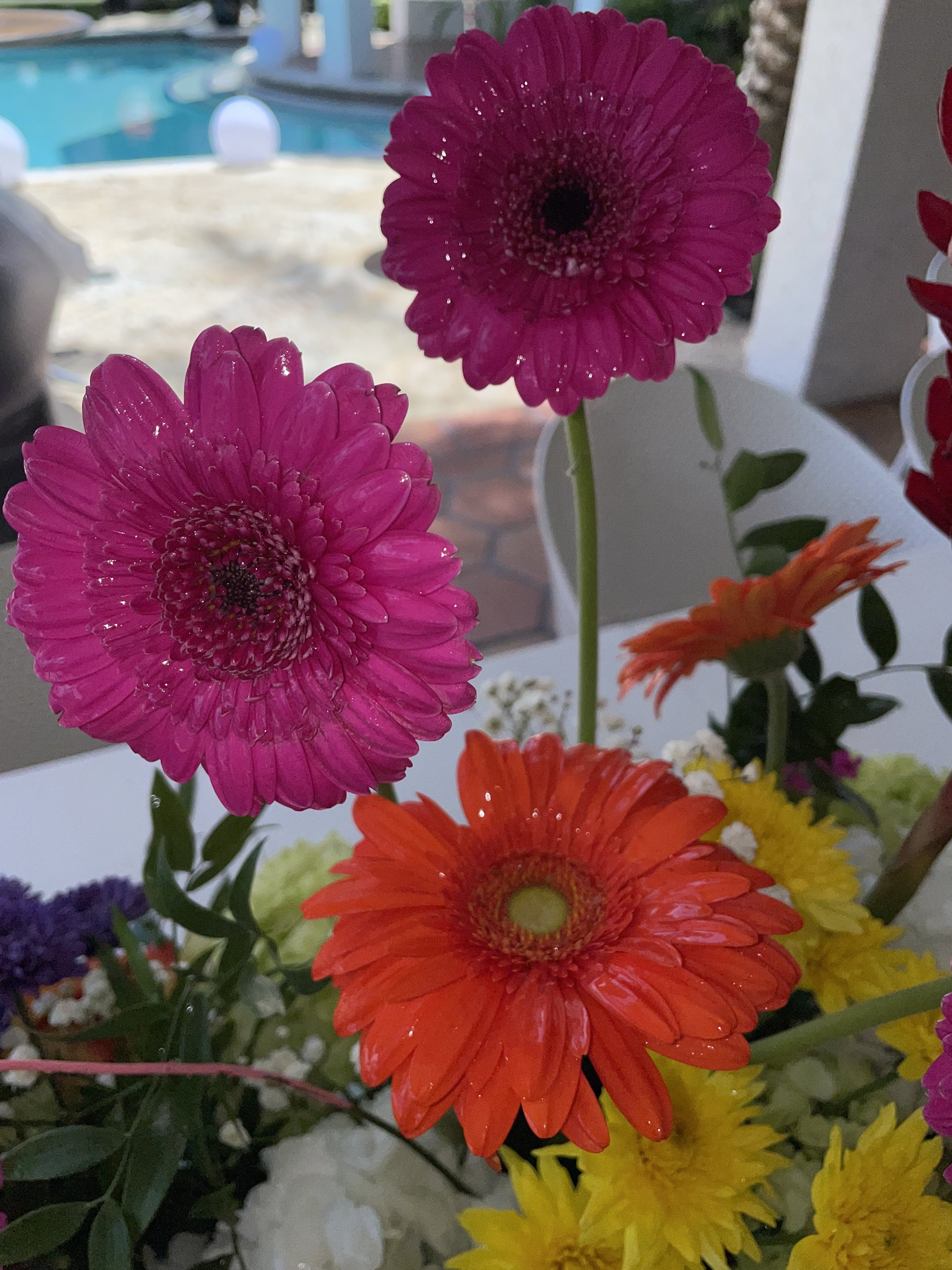 IMG_2189.jpeg