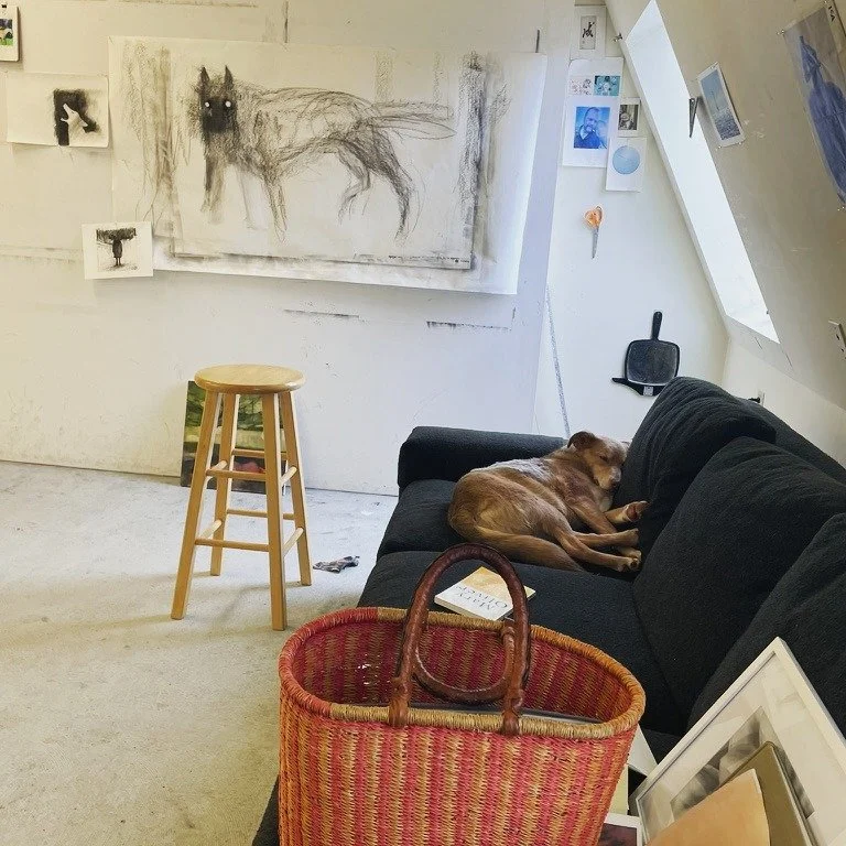 Studio dog; dog days in the studio. 

#cynthiawiningsgallery
#studiotime
#studiodog
#cynthiawiningsartist
