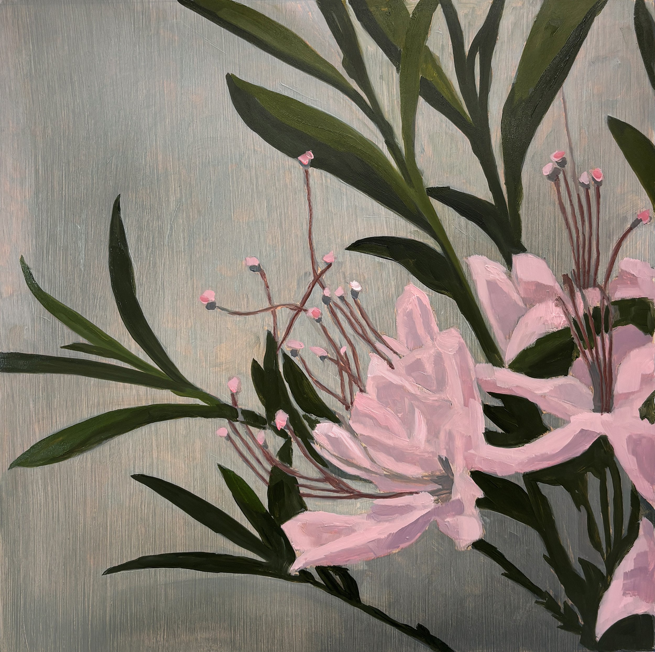 pinkazalea_10x10painting_oilon13x13yupopaper.jpg