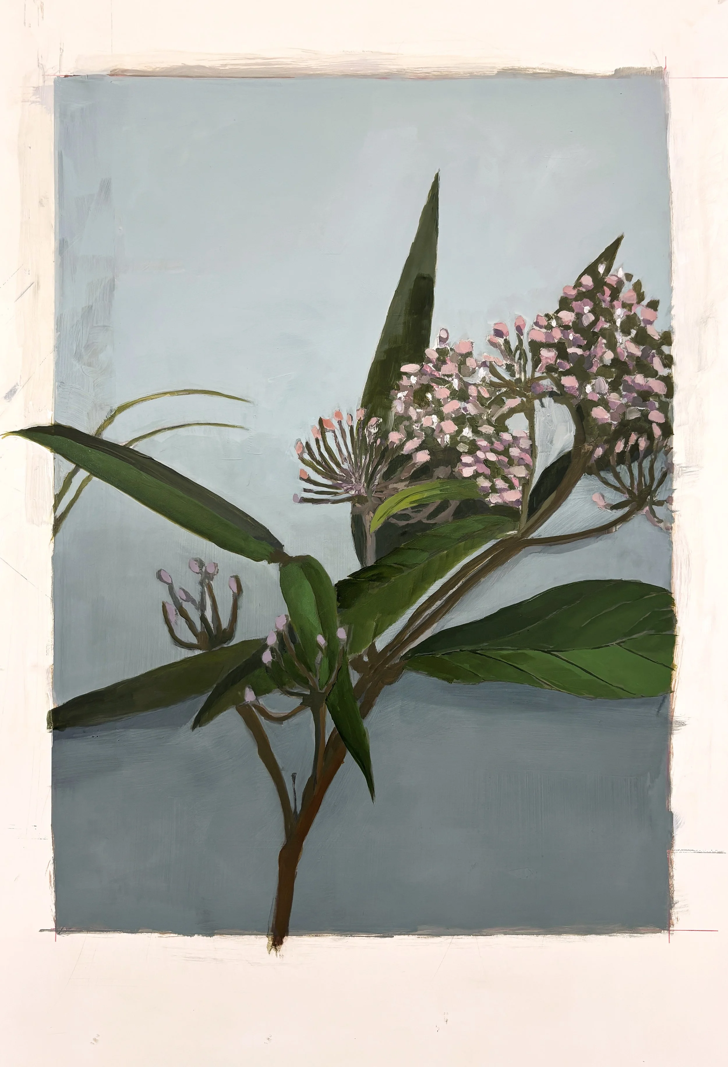 swampmilkweed_14.25x10.5_oilonyupopaper_20x13.jpg