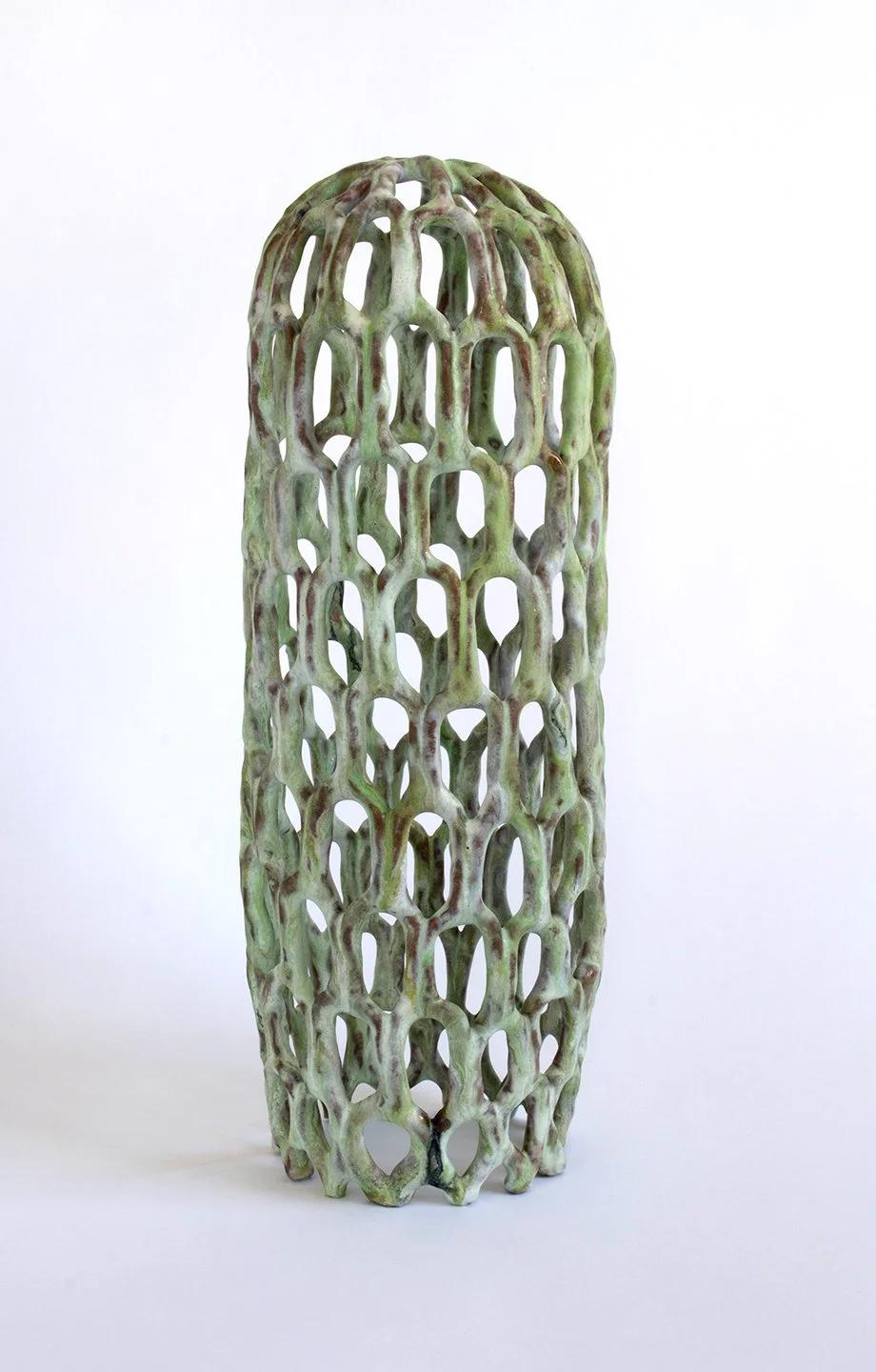 bud head (tall green purple, lupine)_sm.jpg