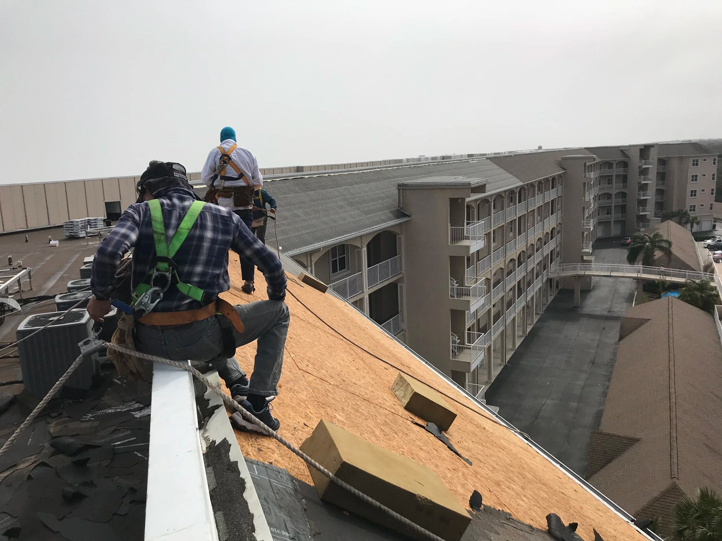 2 Men harnessed onto an angled roof. re-roofing a set of condos
