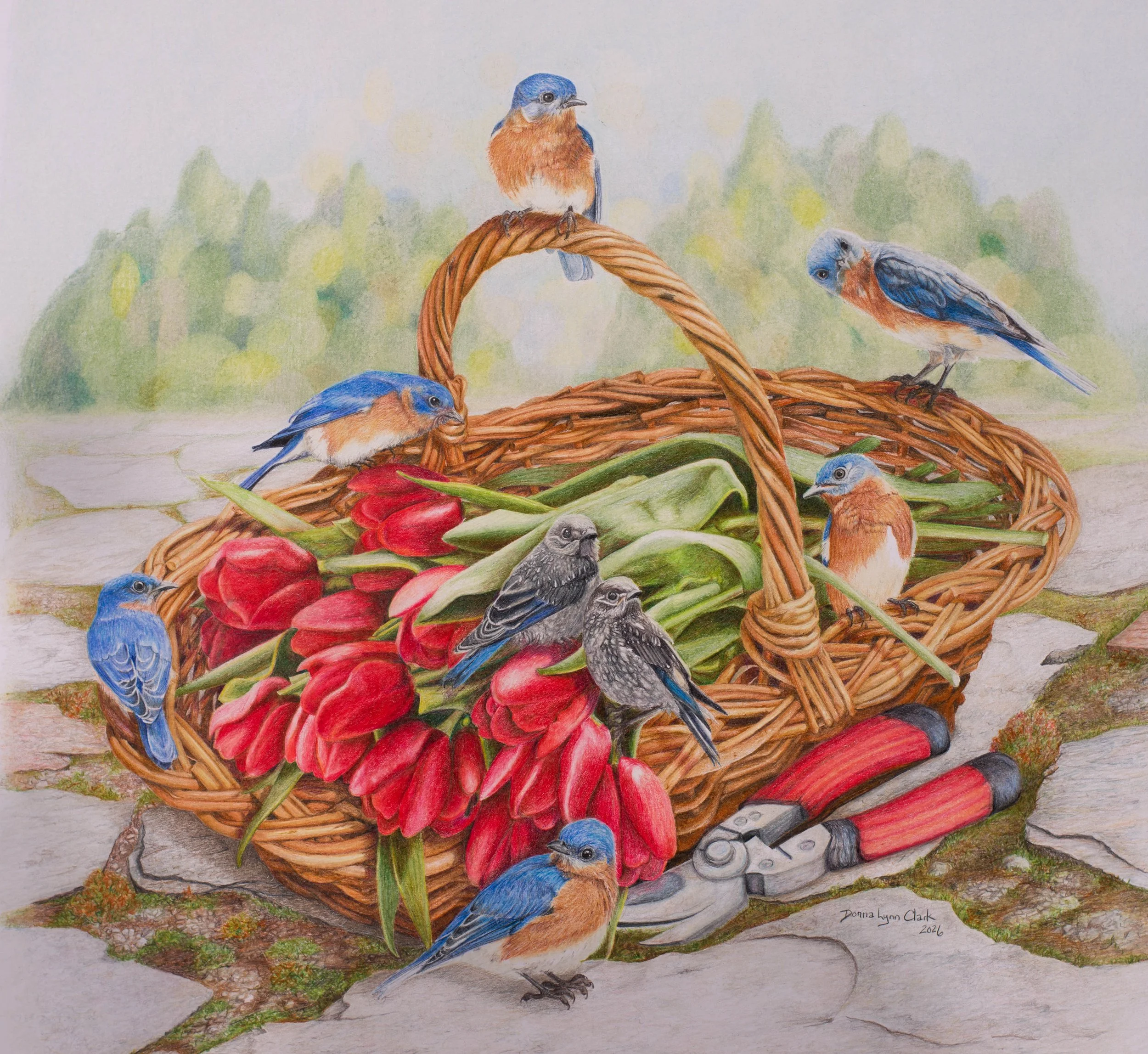 "A Basket of Happiness"