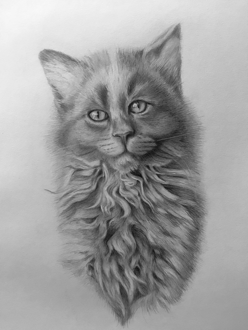 Screenshot 2025-05-17 at 11.28.40 AM.png