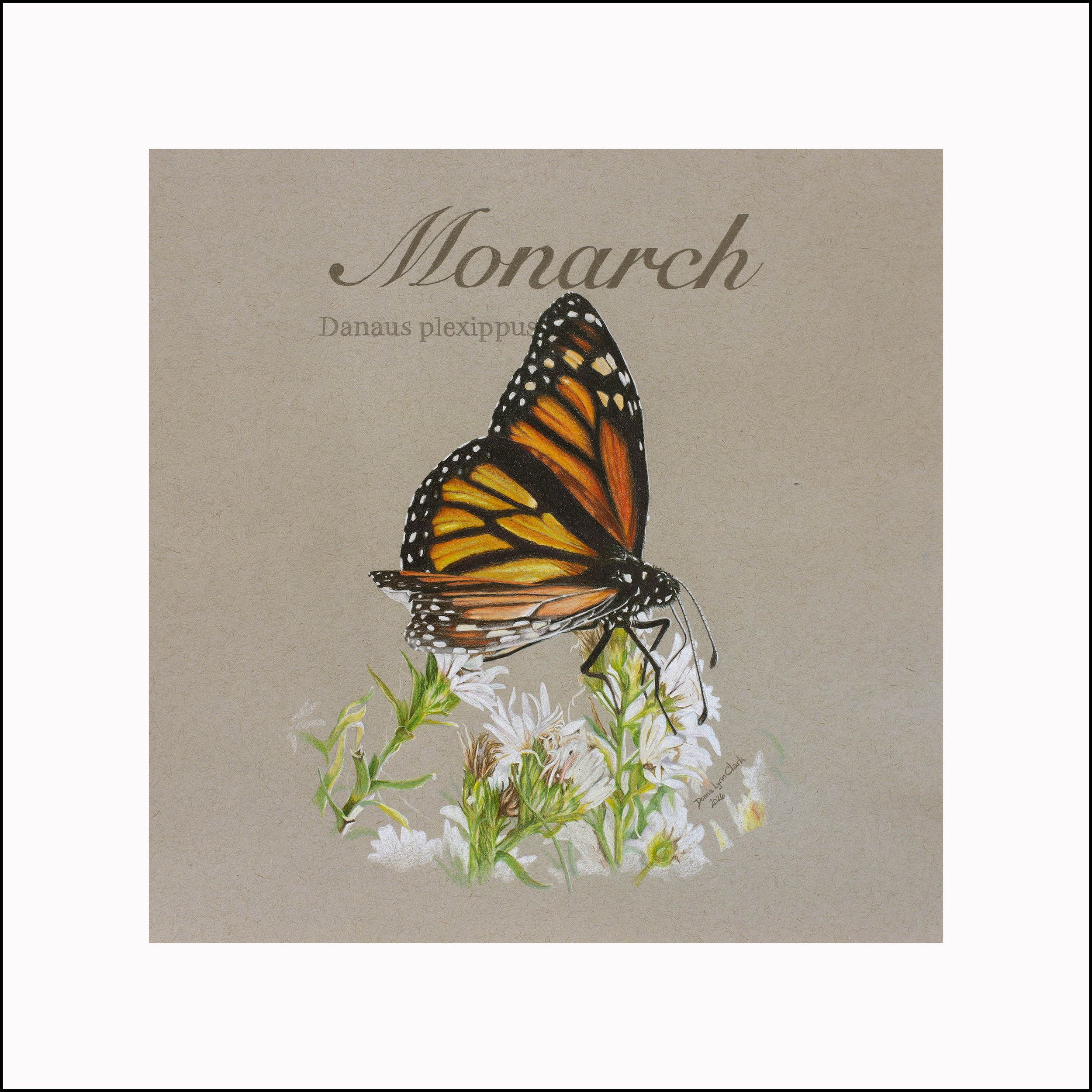 "Mr. Monarch"