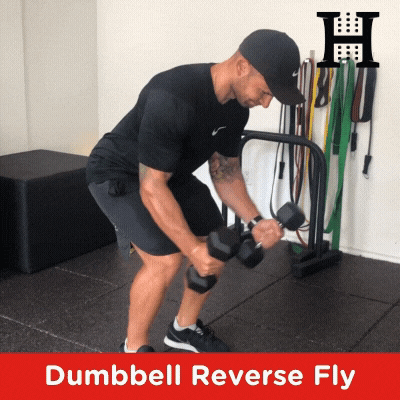 Exercise Tutorial: Dumbbell Reverse Fly