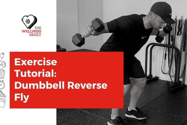 Seated reverse dumbbell fly instructions and video