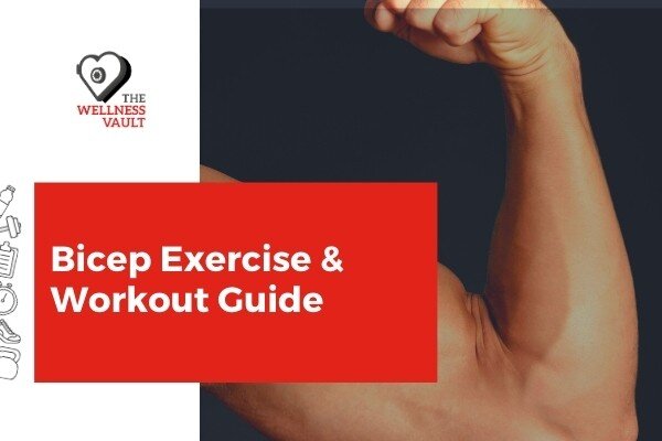 Bicep Exercise and Workout Guide