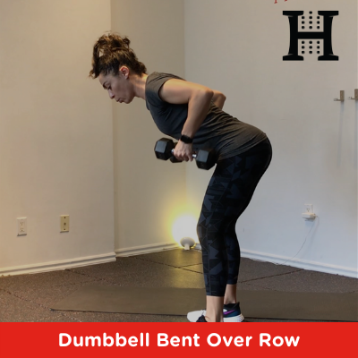 Bent Over Dumbbell Row Video Exercise Guide – FDOMF